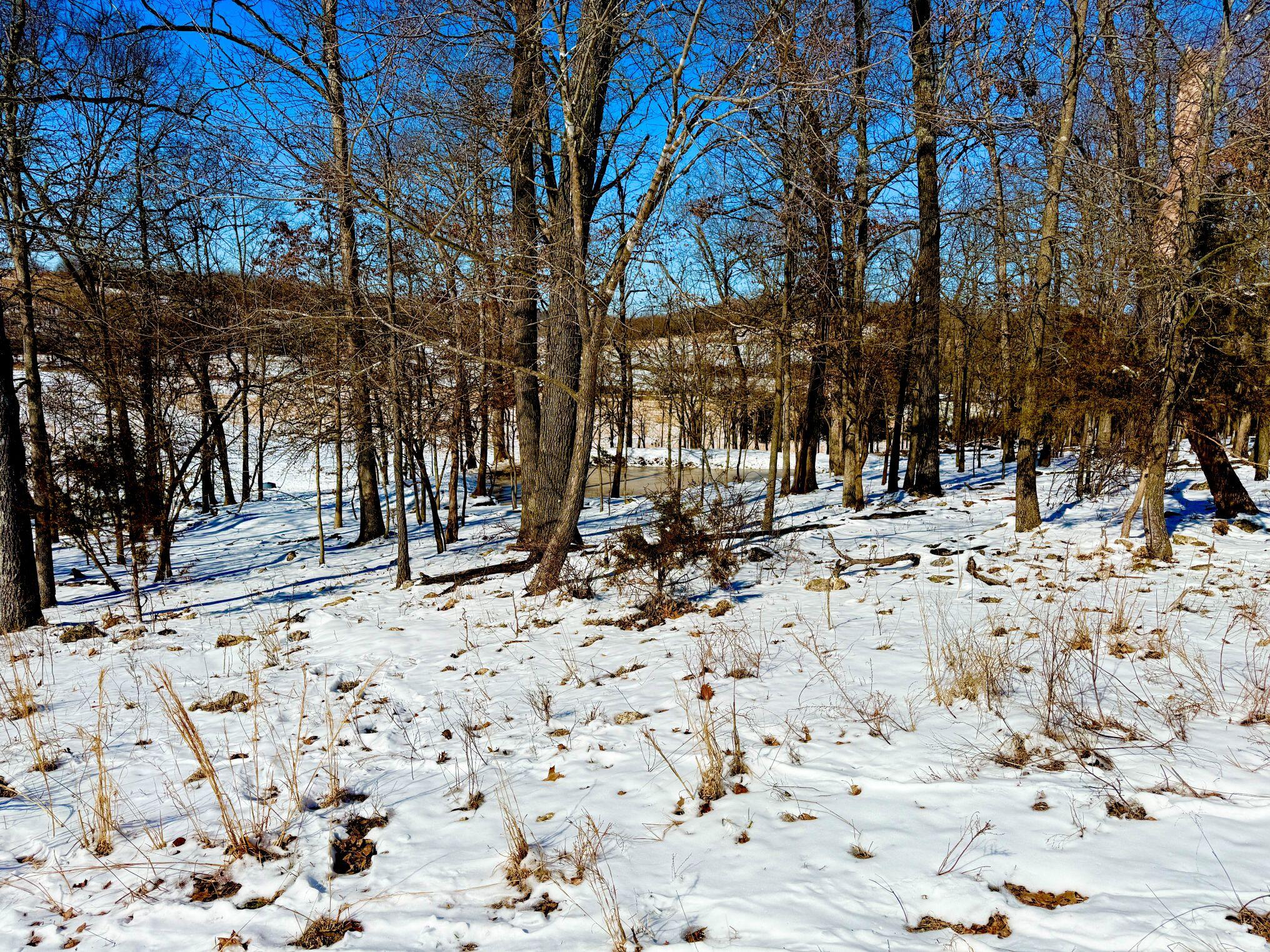 300 Roundup Lane Property Photo 116