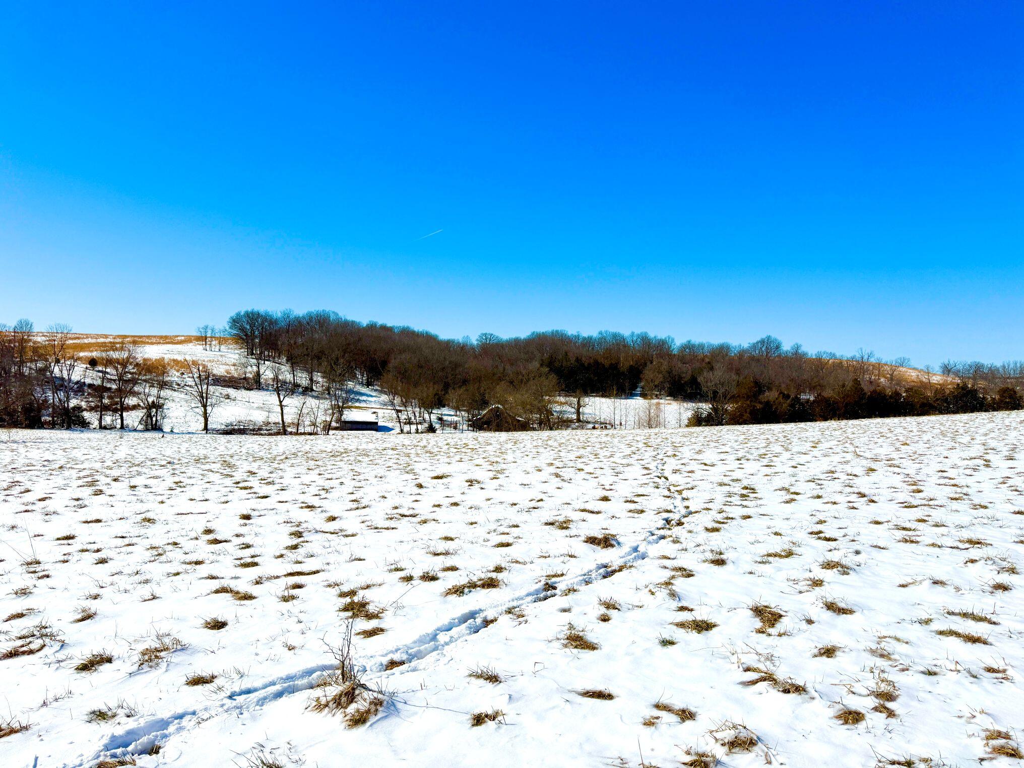 300 Roundup Lane Property Photo 133