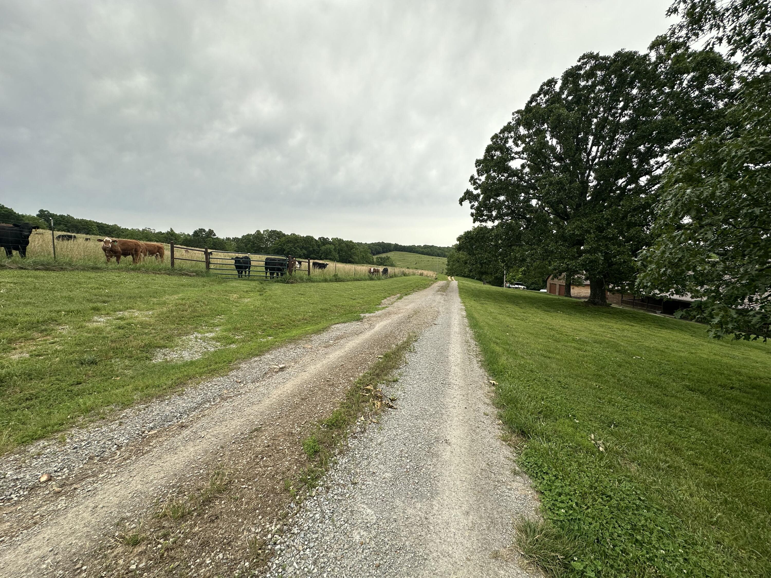 300 Roundup Lane Property Photo 141