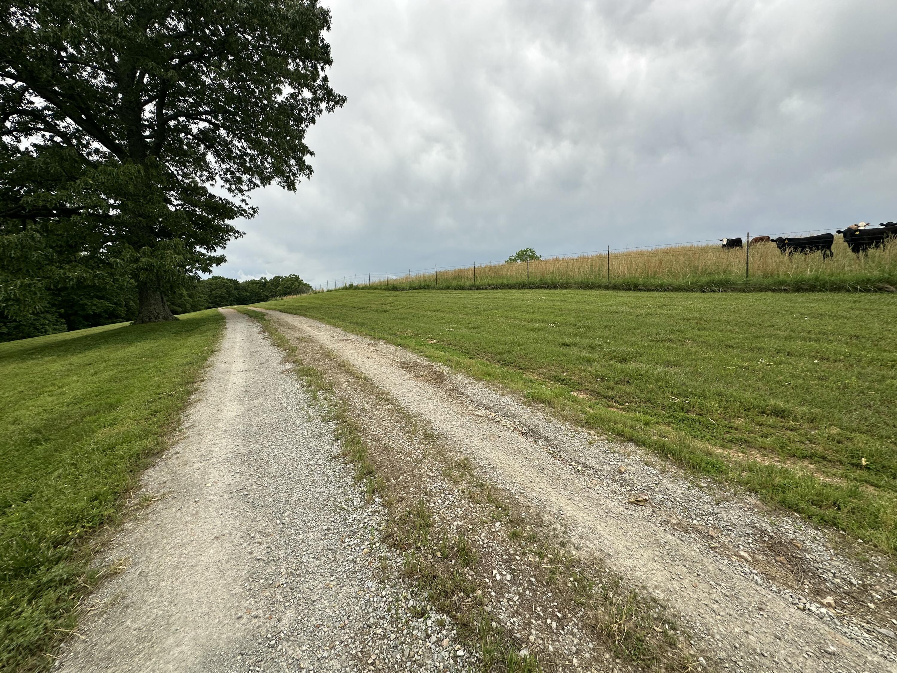 300 Roundup Lane Property Photo 144