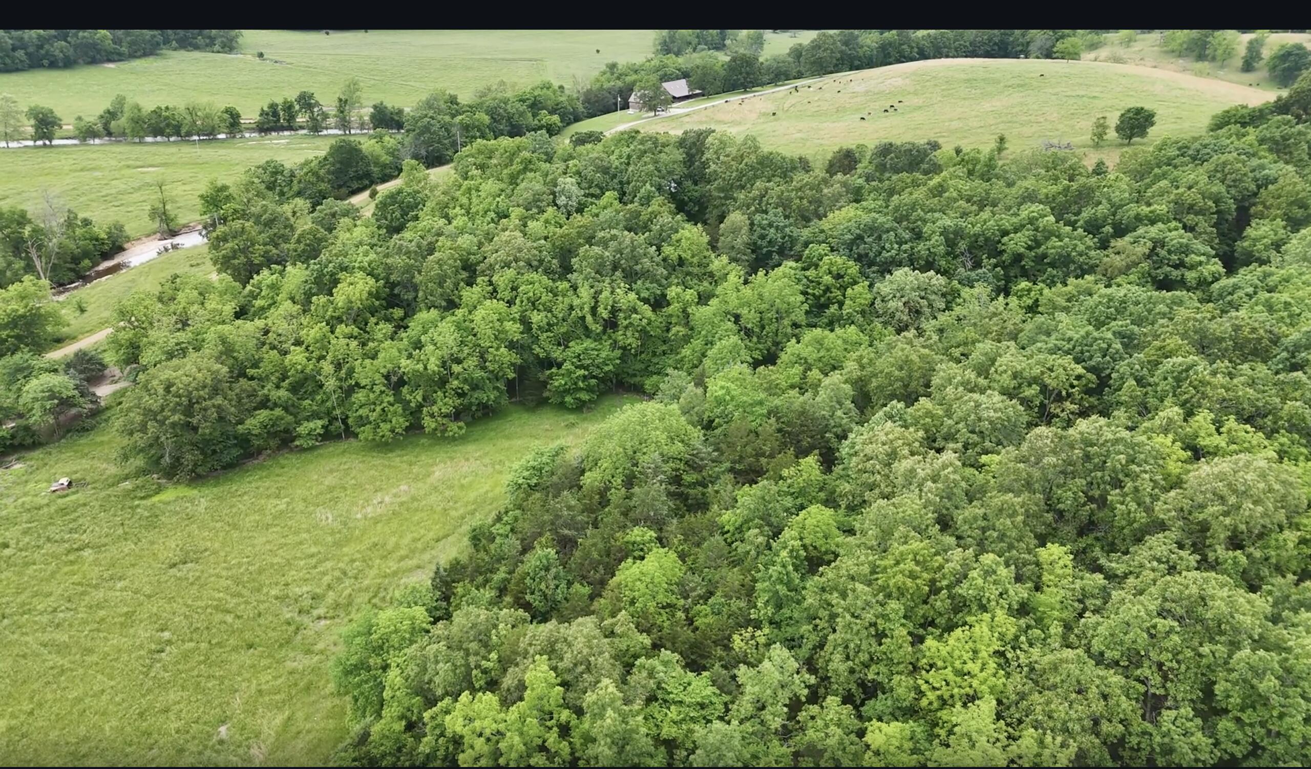 300 Roundup Lane Property Photo 145
