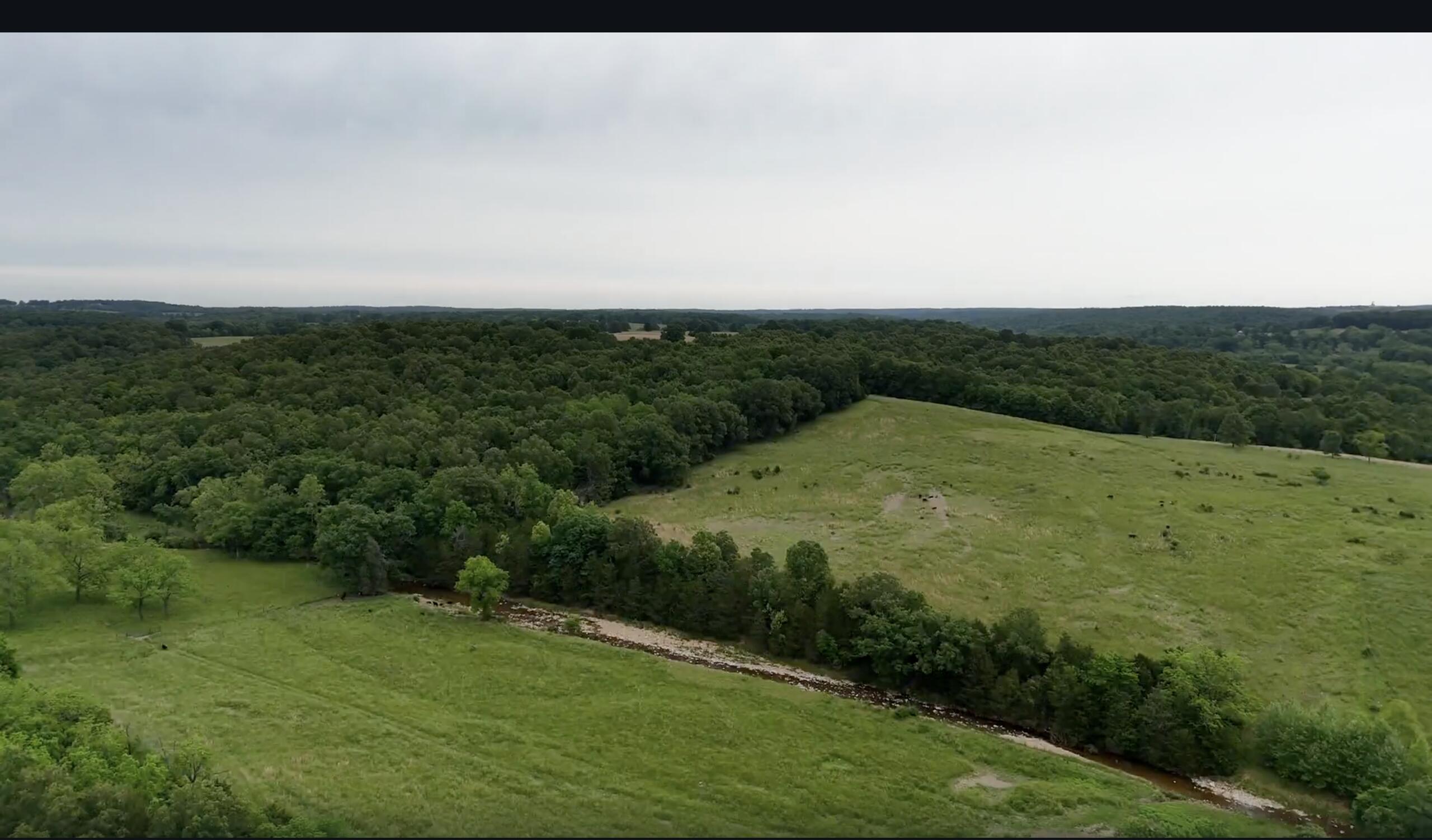 300 Roundup Lane Property Photo 181