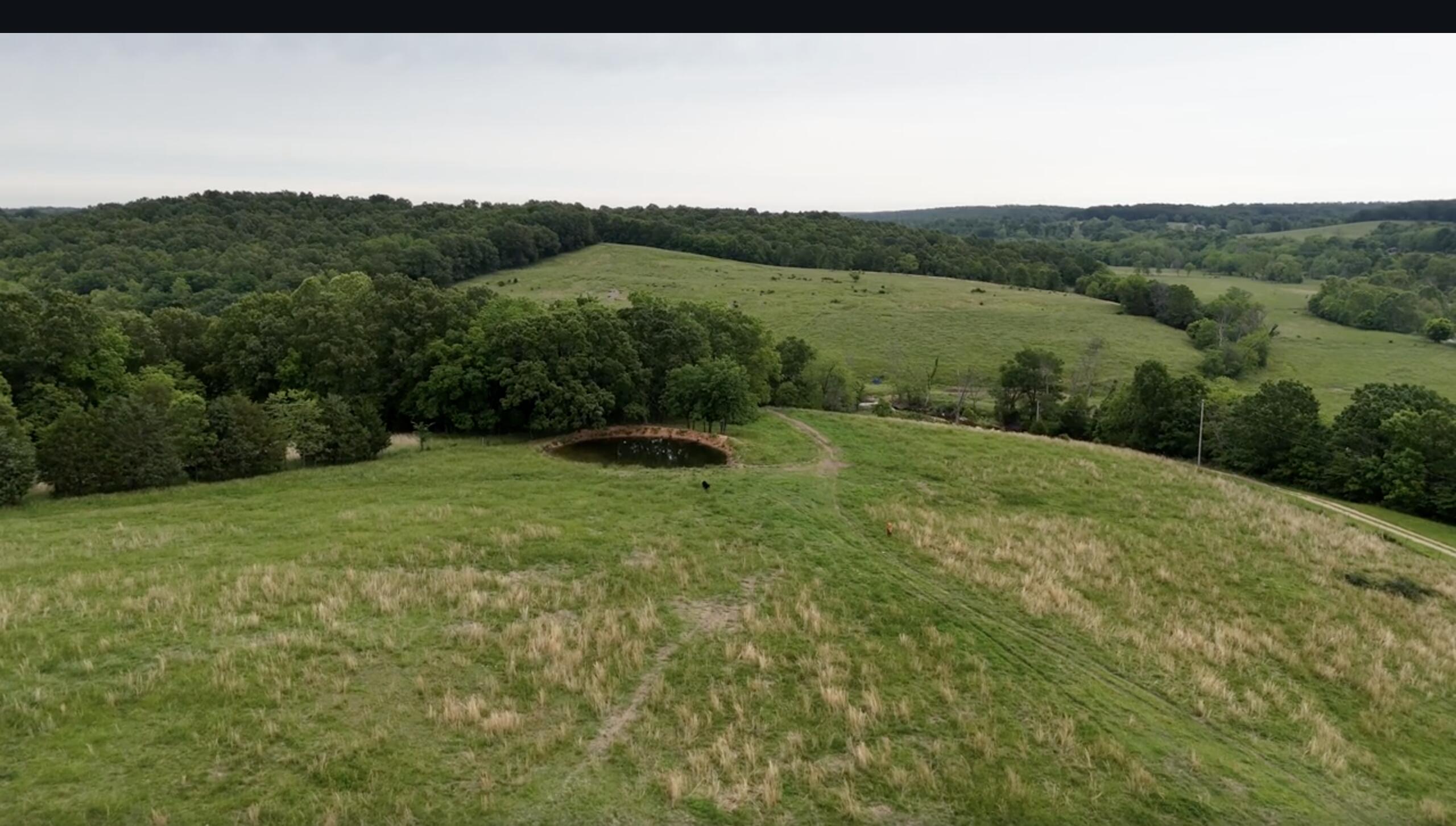 300 Roundup Lane Property Photo 187