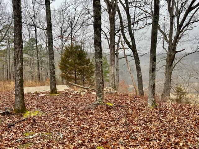 000 County Road 328 Property Photo 5