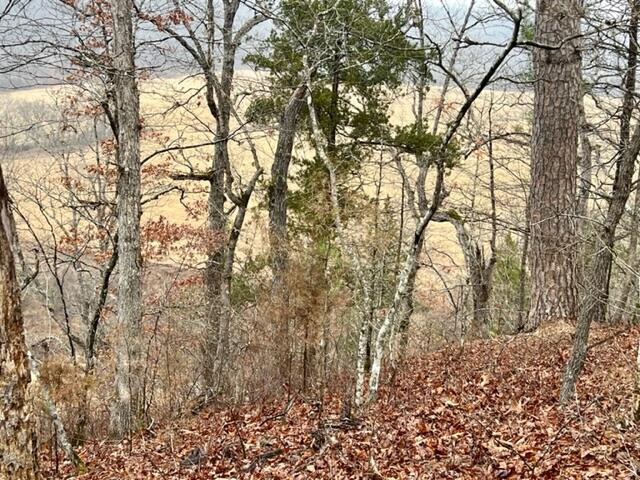 000 County Road 328 Property Photo 8
