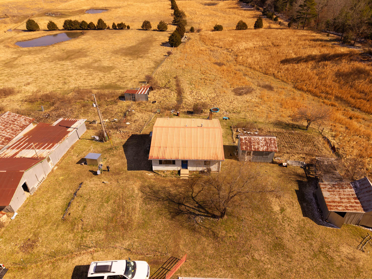 2290 County Road 147 Property Photo 3
