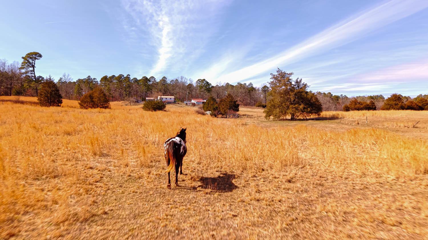 2290 County Road 147 Property Photo 15
