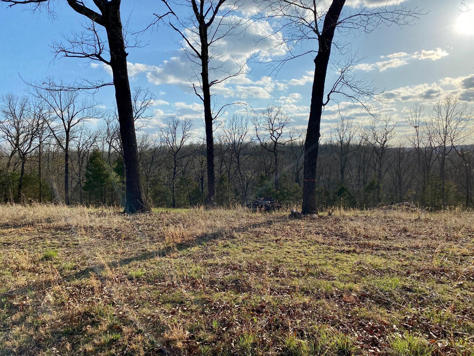 0 Huckleberry Road Property Photo