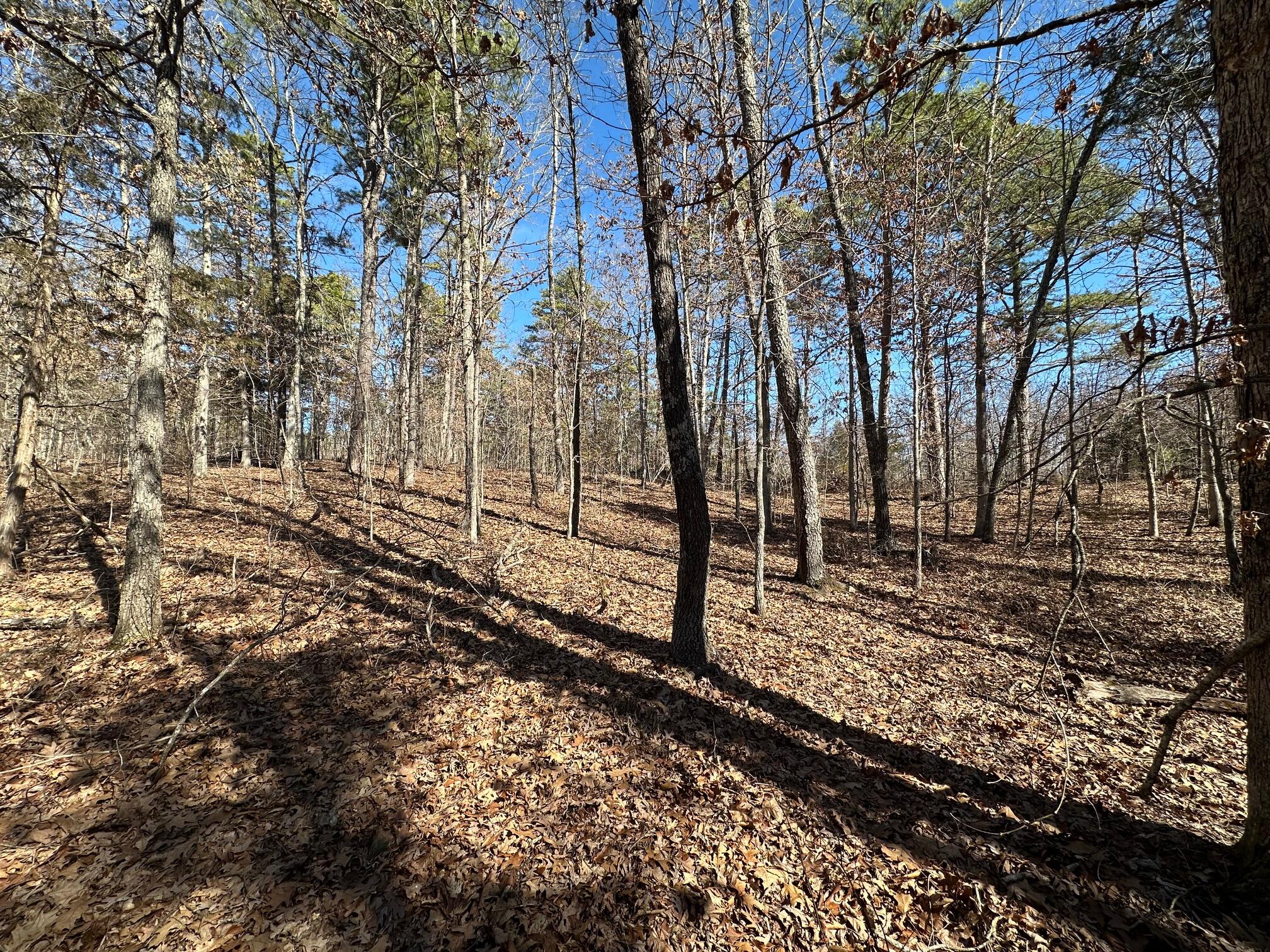 000 Whispering Pines Lane Property Photo