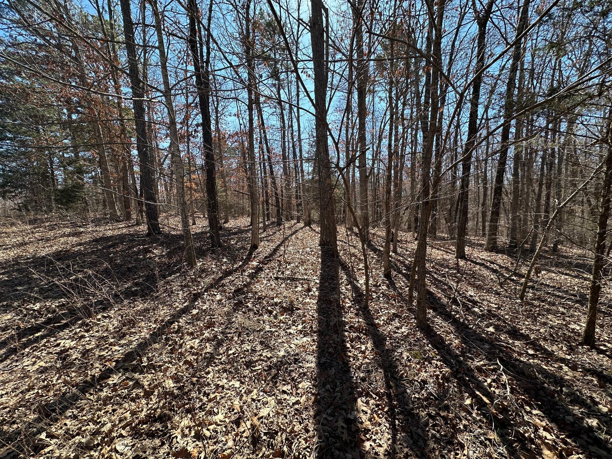000 Whispering Pines Lane Property Photo 3
