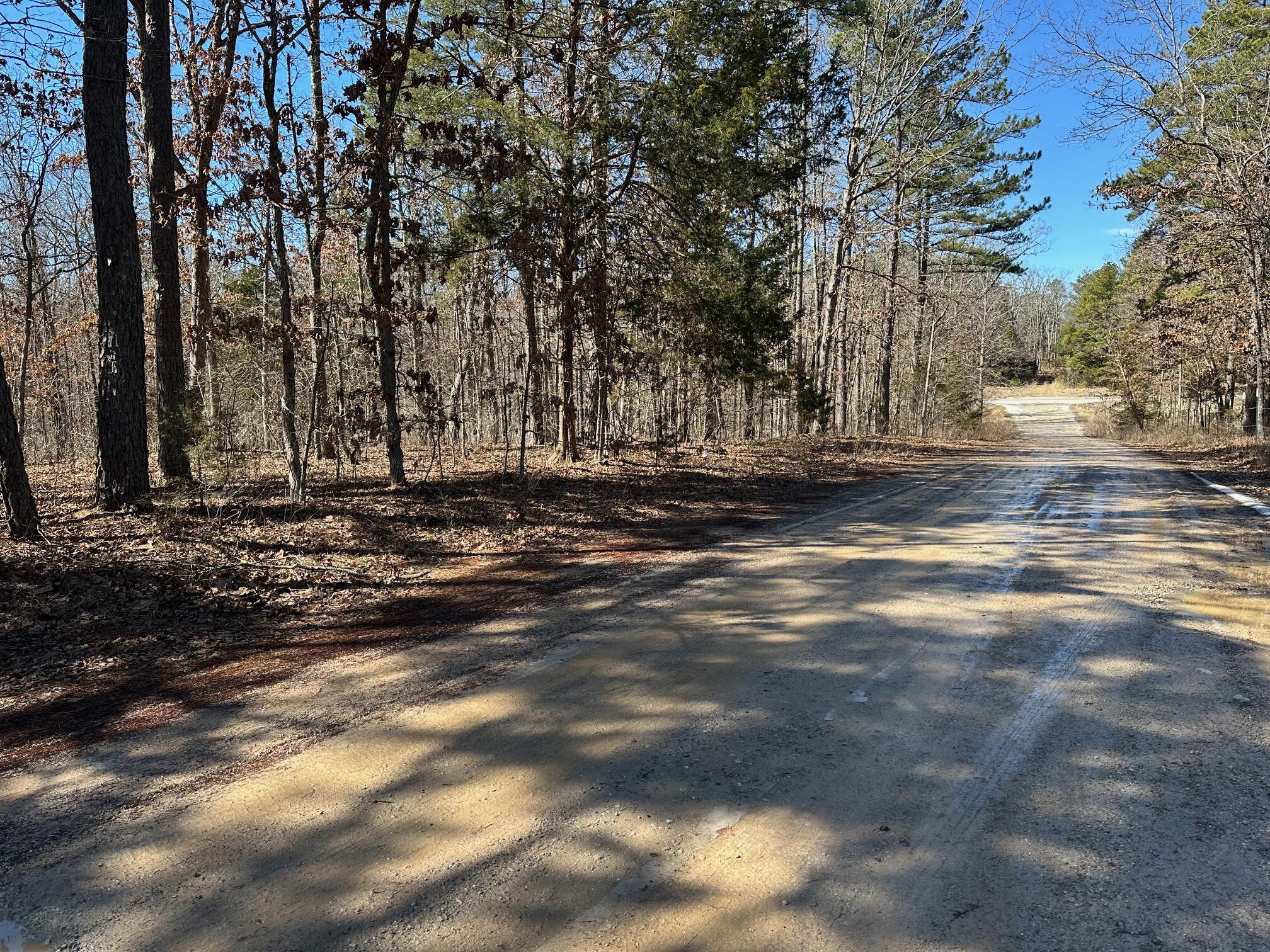 000 Whispering Pines Lane Property Photo 4