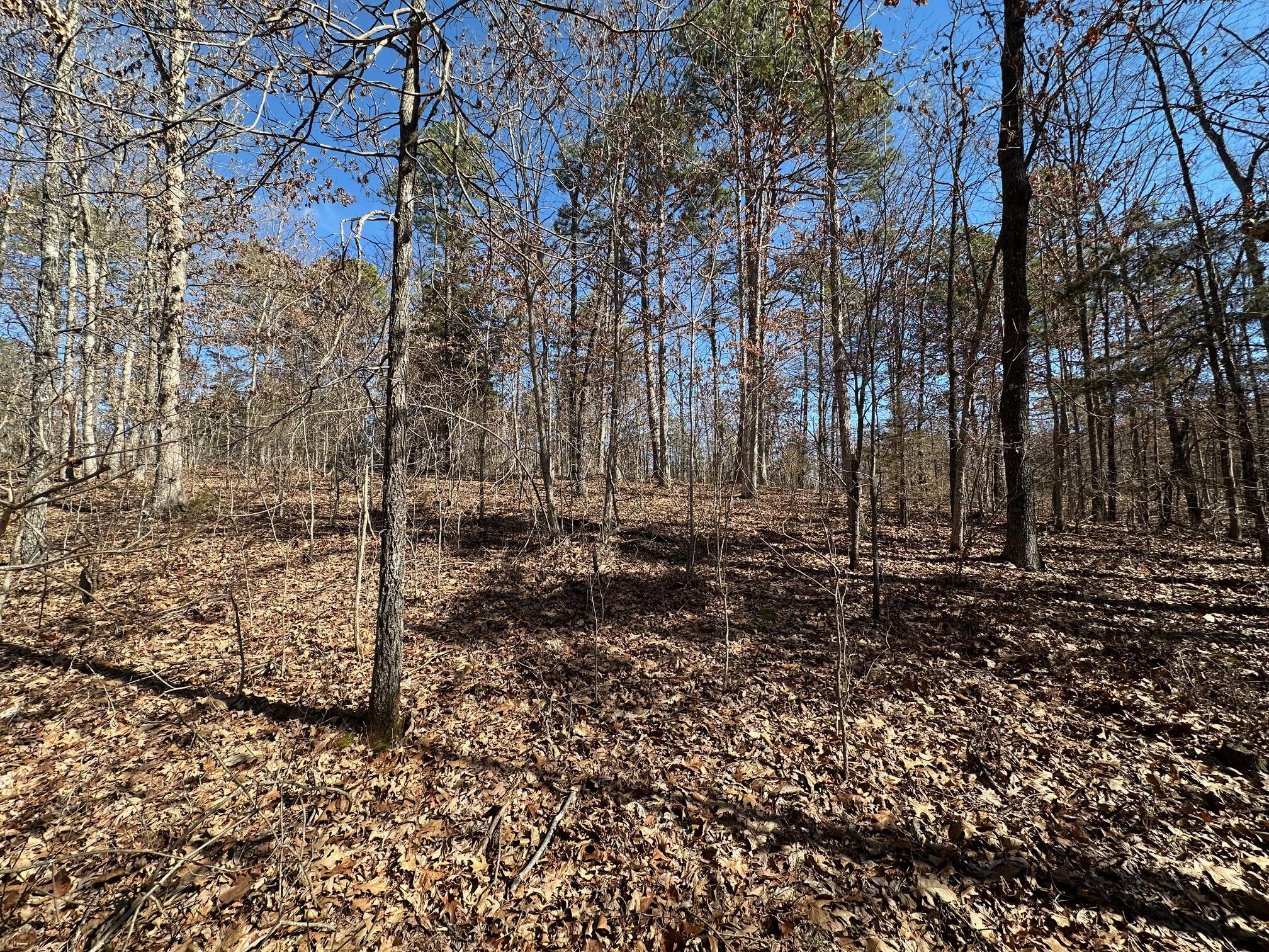 000 Whispering Pines Lane Property Photo 7