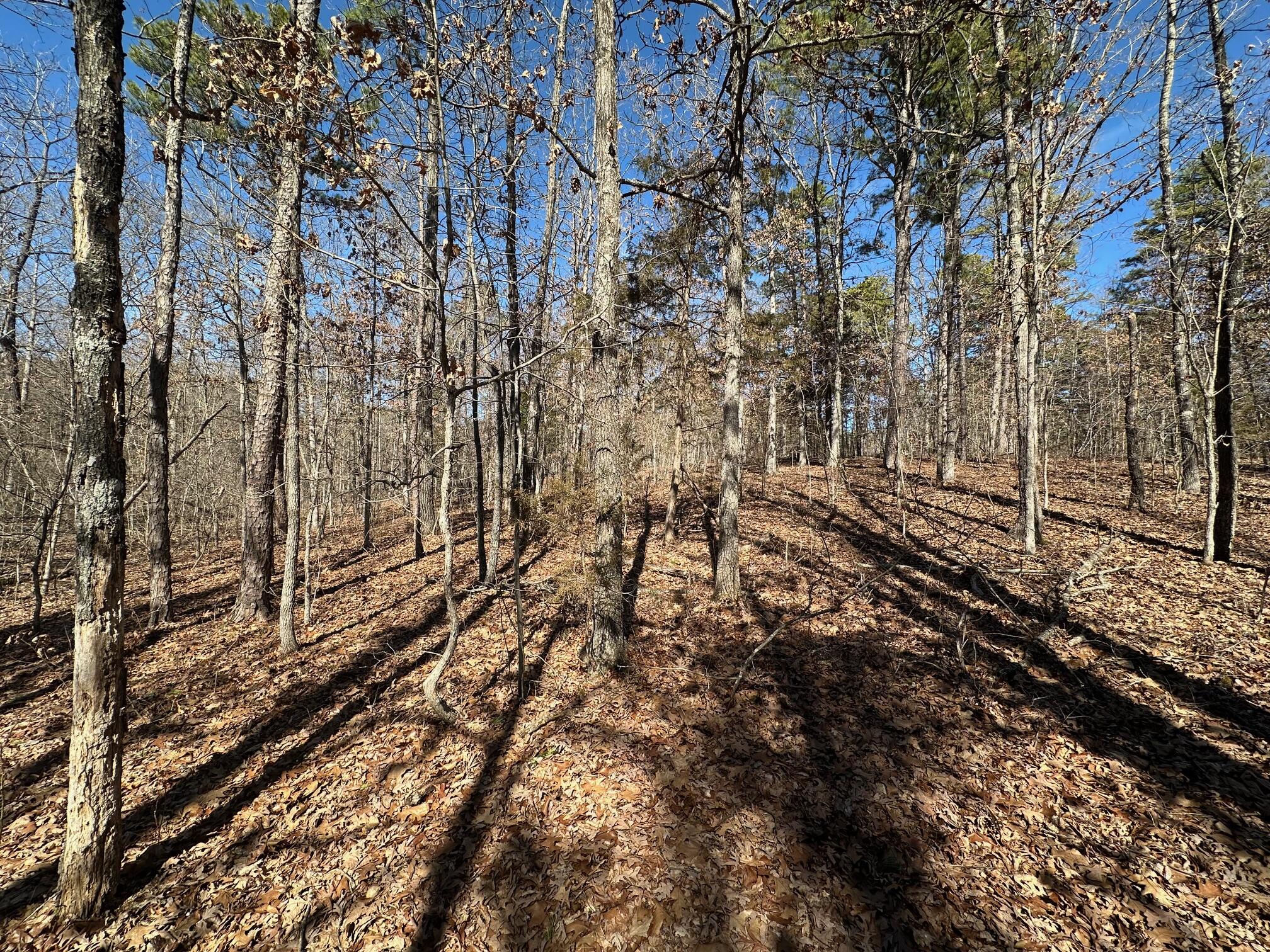 000 Whispering Pines Lane Property Photo 10