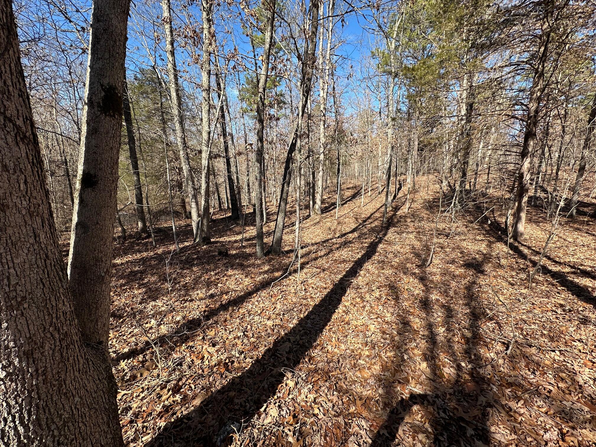 000 Whispering Pines Lane Property Photo 12