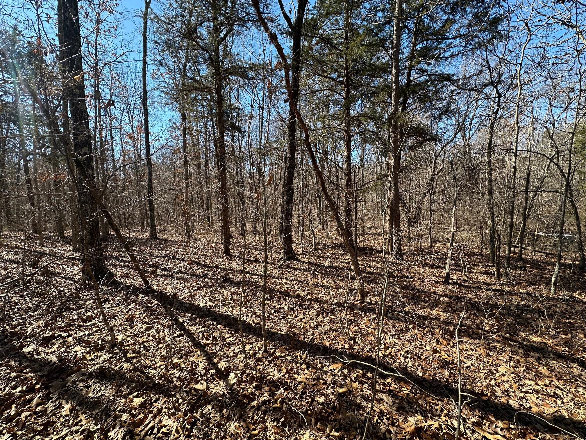 000 Whispering Pines Lane Property Photo 13