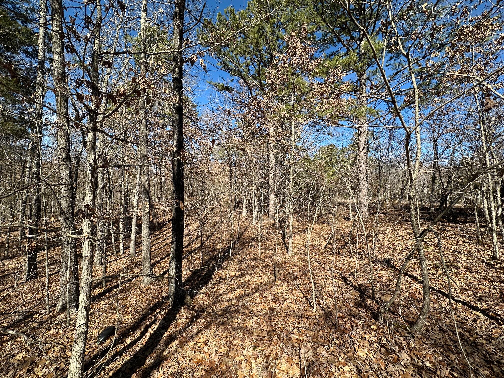 000 Whispering Pines Lane Property Photo 14