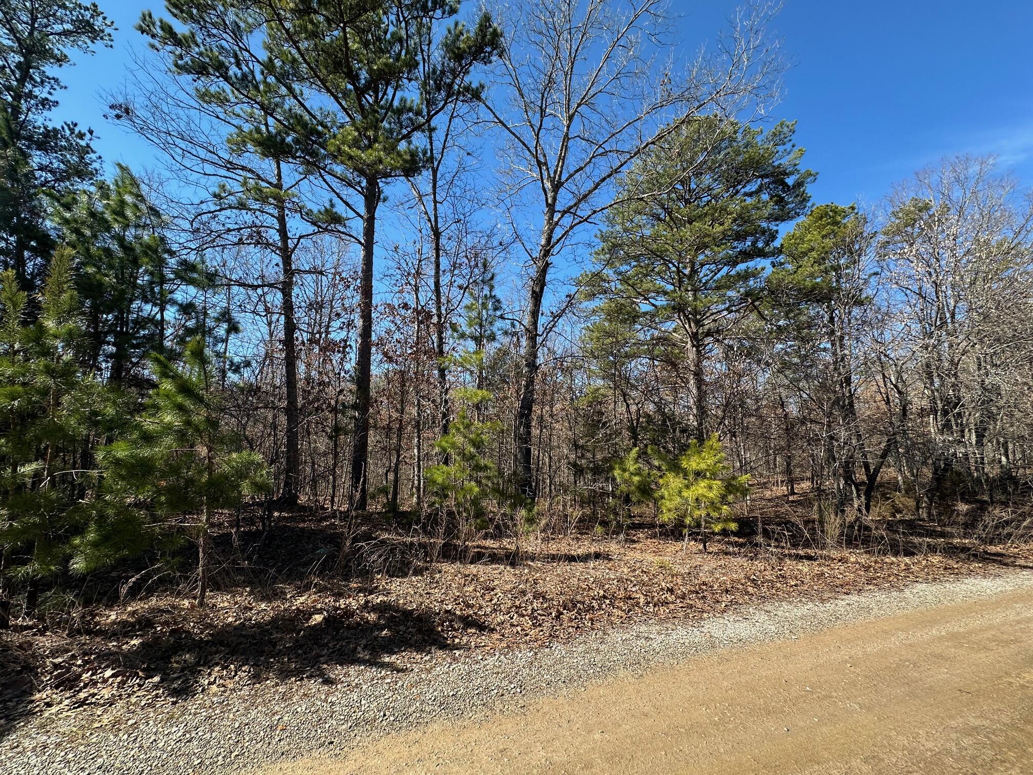 000 Whispering Pines Lane Property Photo 15