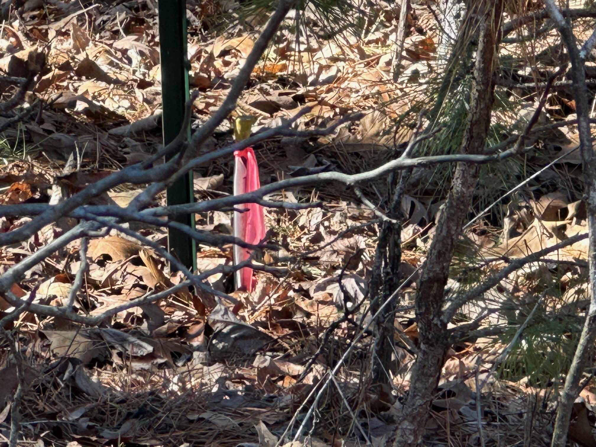 000 Whispering Pines Lane Property Photo 16