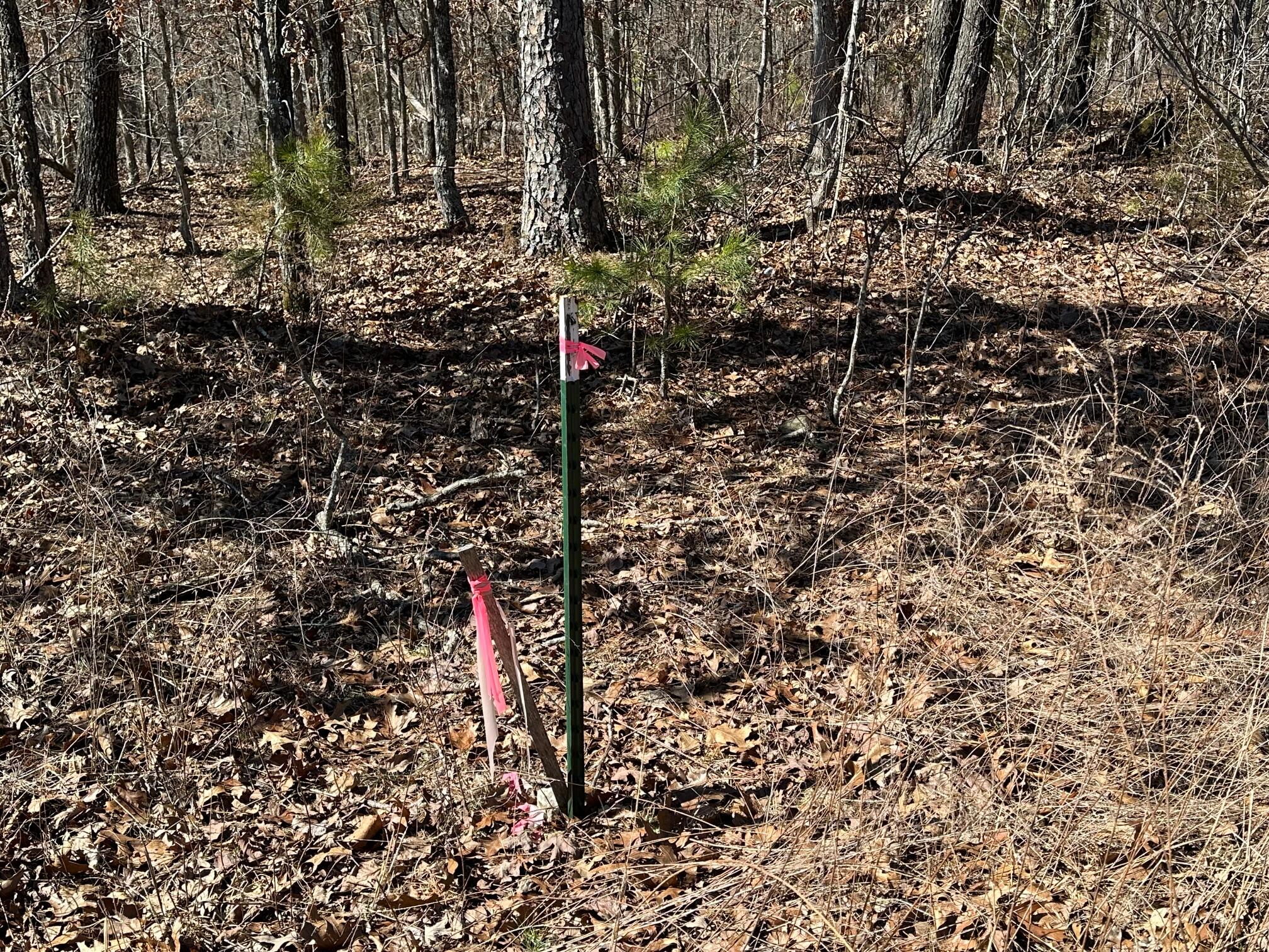 000 Whispering Pines Lane Property Photo 17