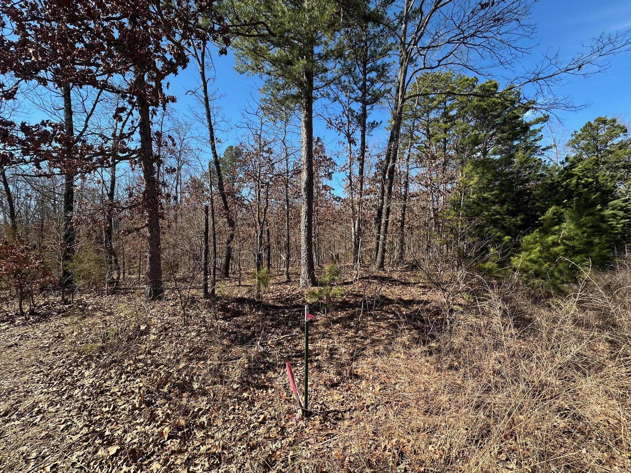 000 Whispering Pines Lane Property Photo 18