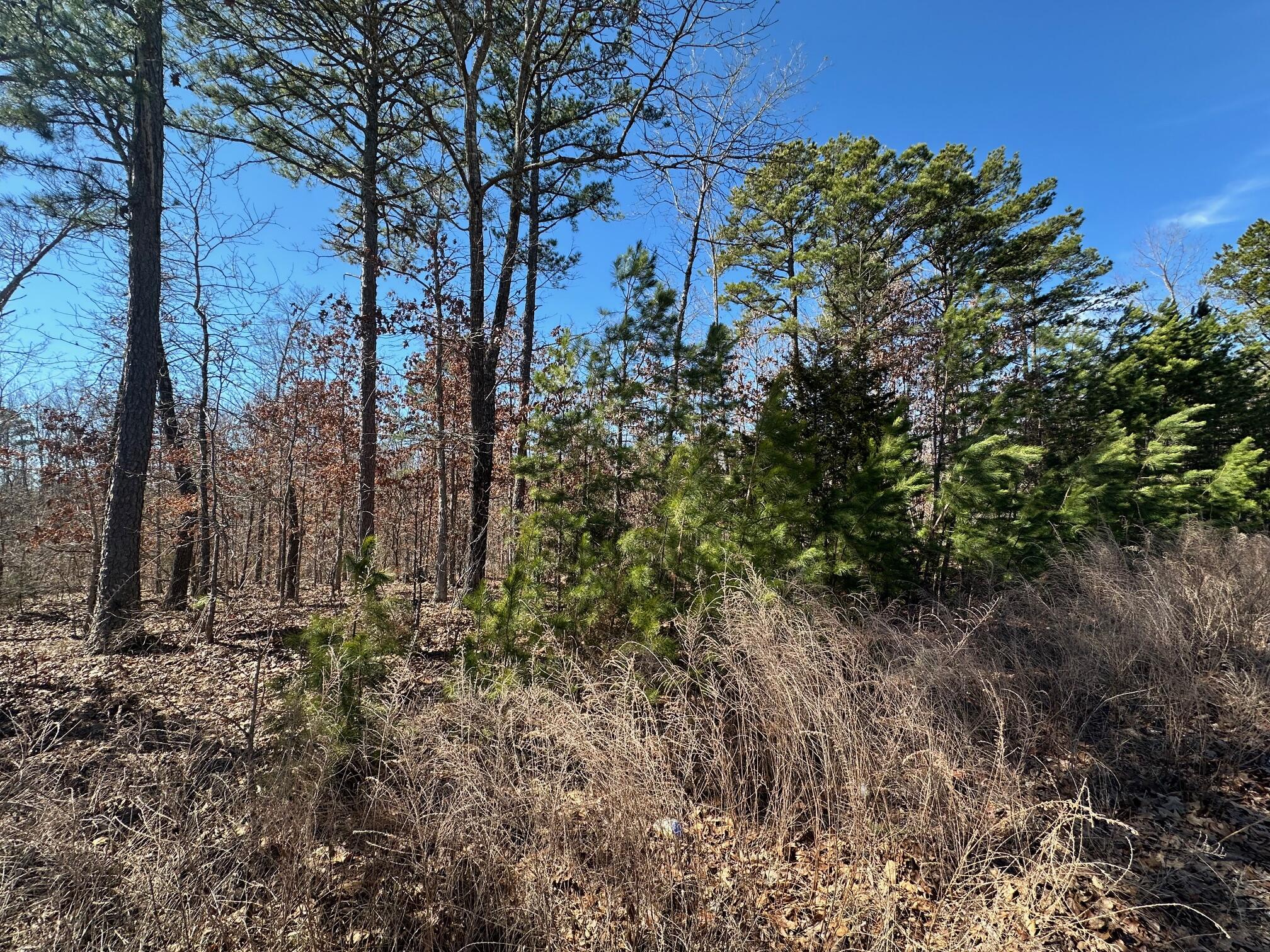 000 Whispering Pines Lane Property Photo 19