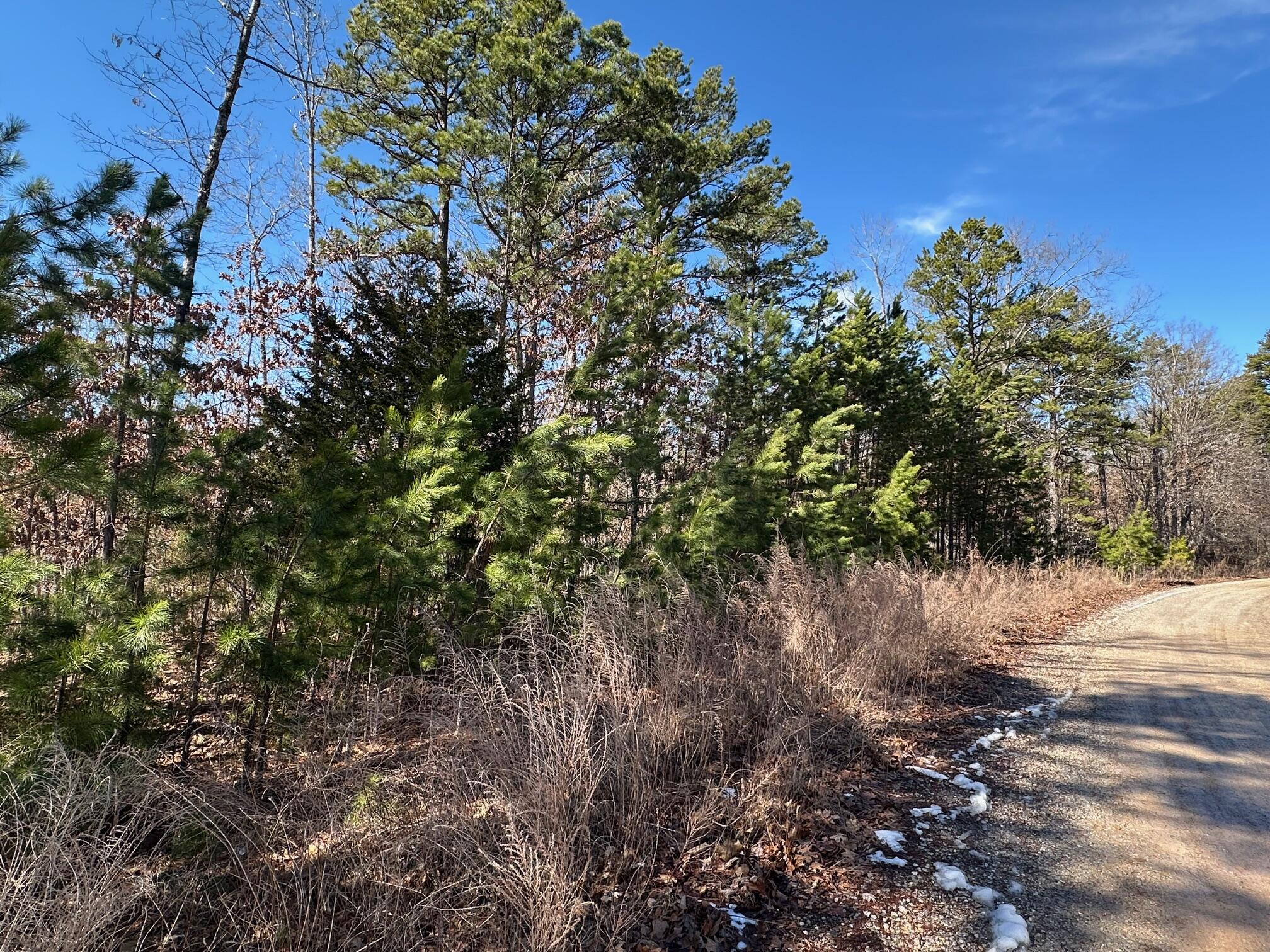 000 Whispering Pines Lane Property Photo 20