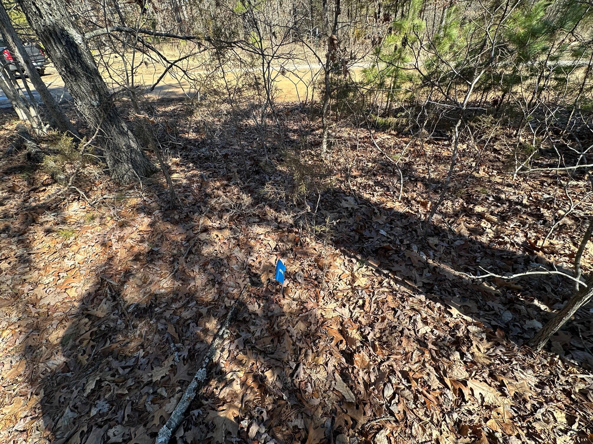 000 Whispering Pines Lane Property Photo 21