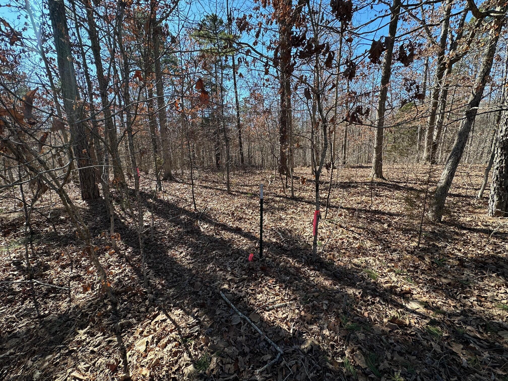 000 Whispering Pines Lane Property Photo 22