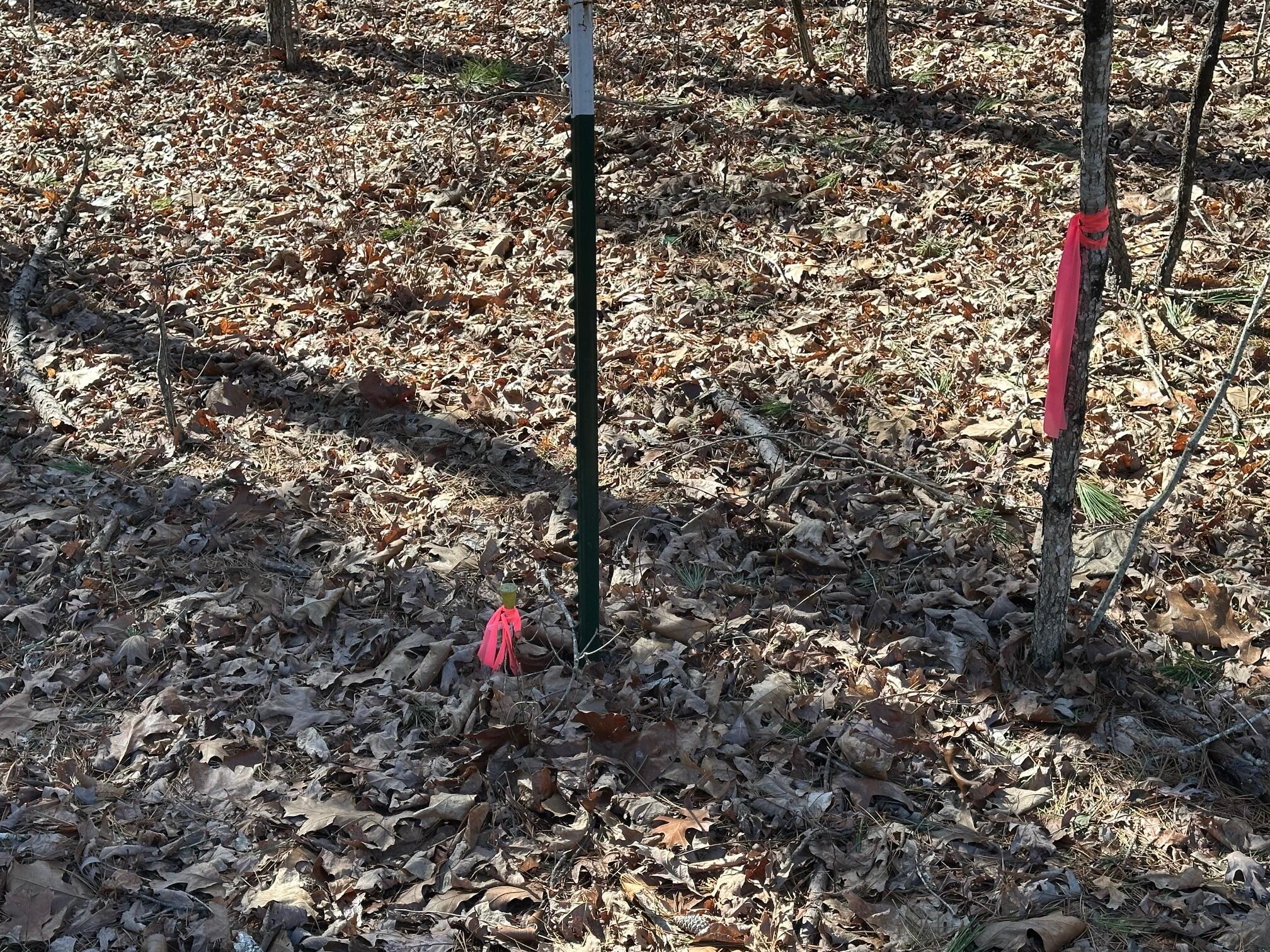 000 Whispering Pines Lane Property Photo 23