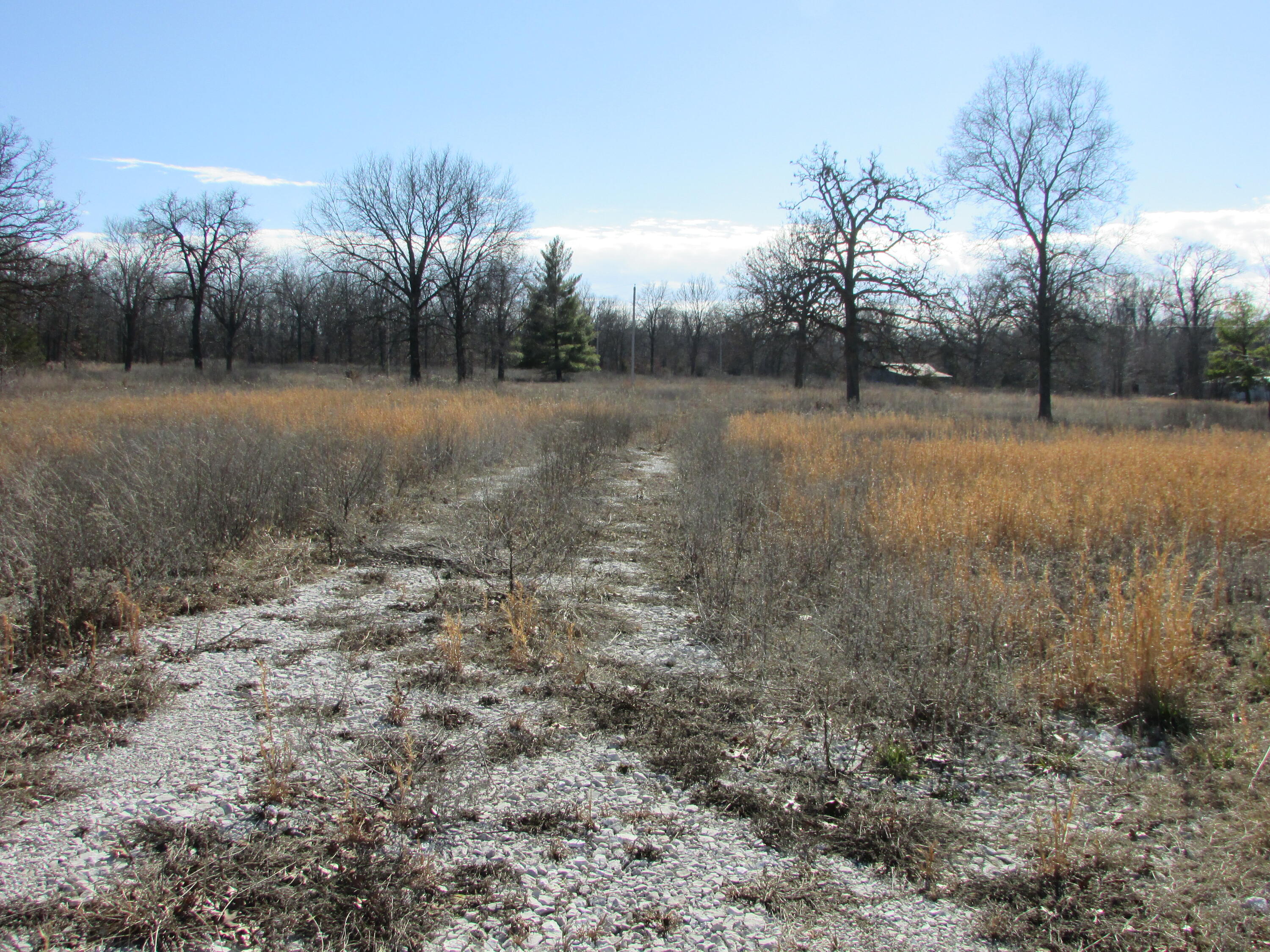 Tract 2 Highway Ff Property Photo 6