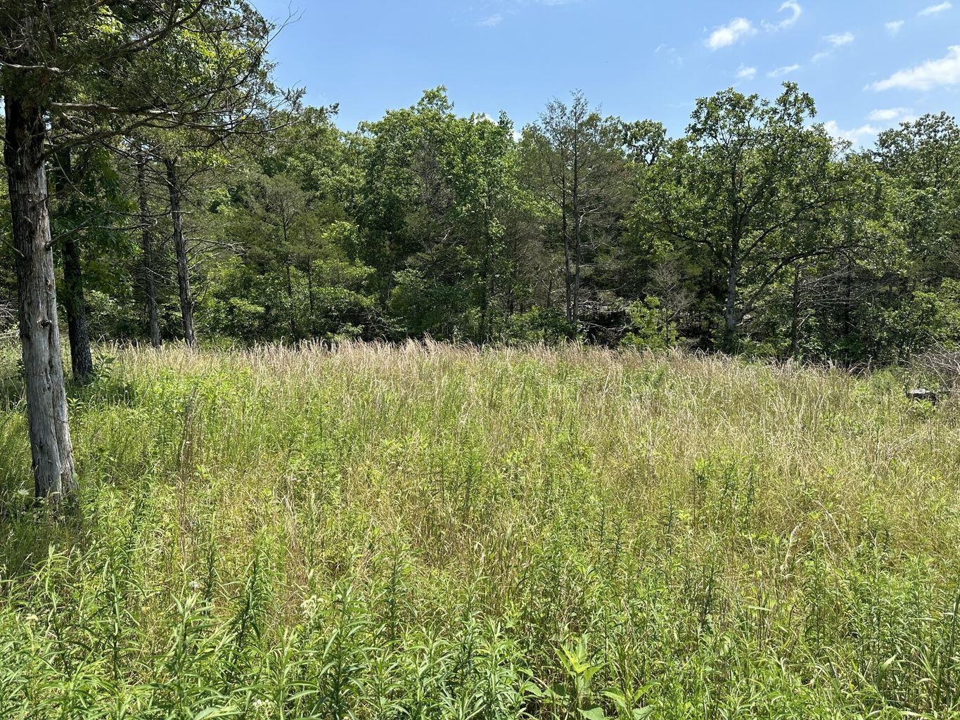 Lot 12 Tribute Falls Property Photo