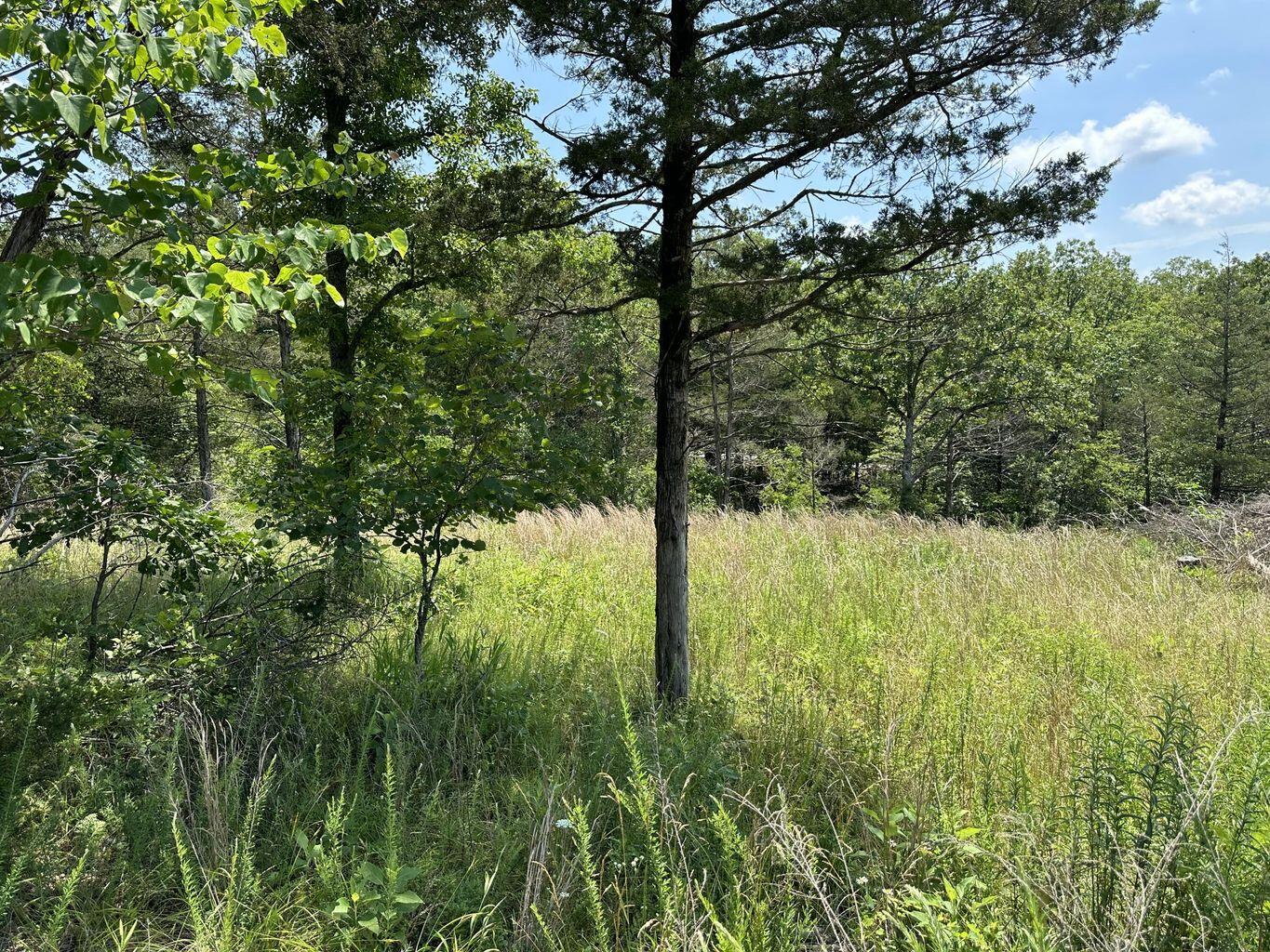 Lot 12 Tribute Falls Property Photo 2