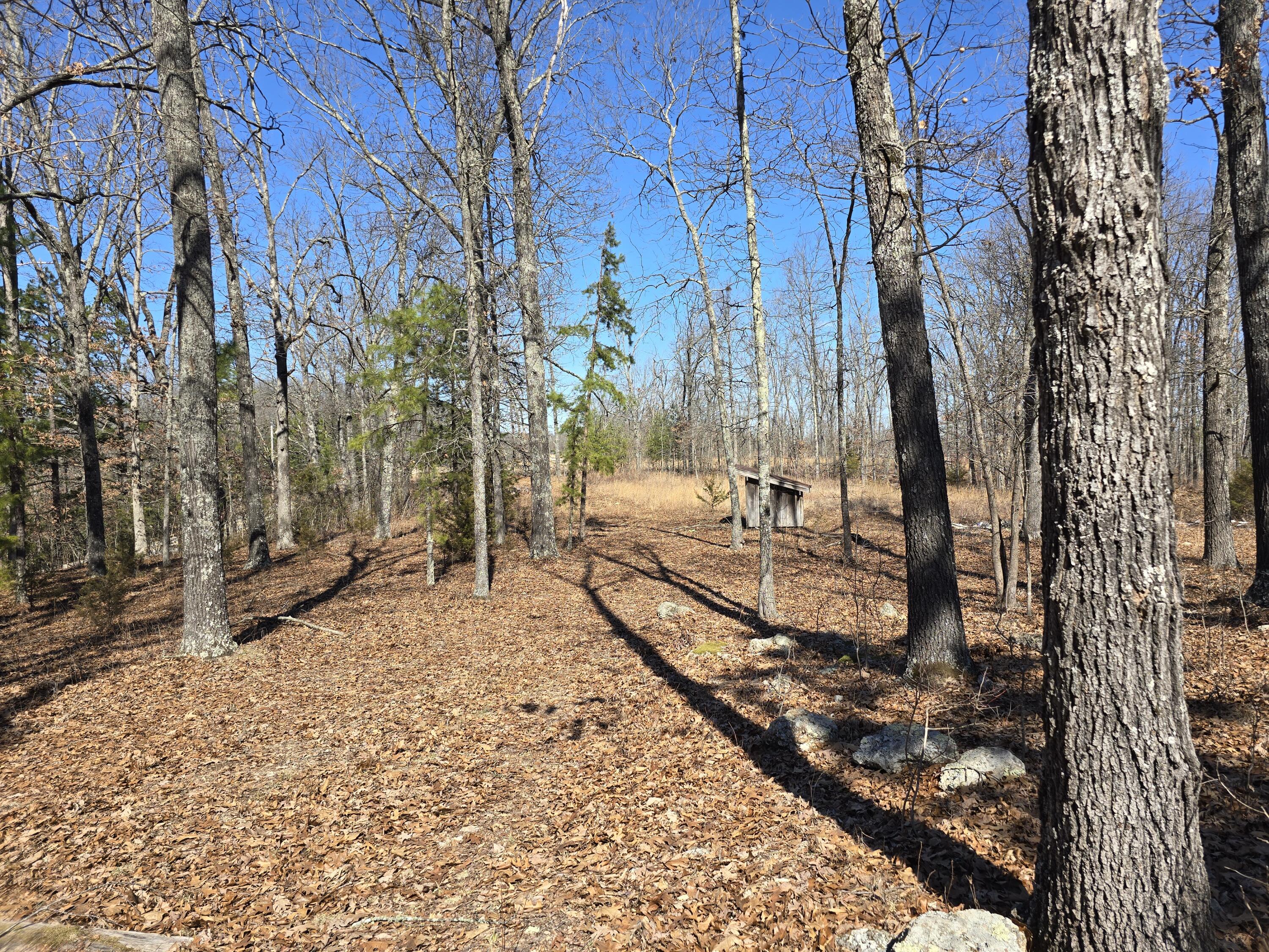 10254 State Highway C Property Photo 39