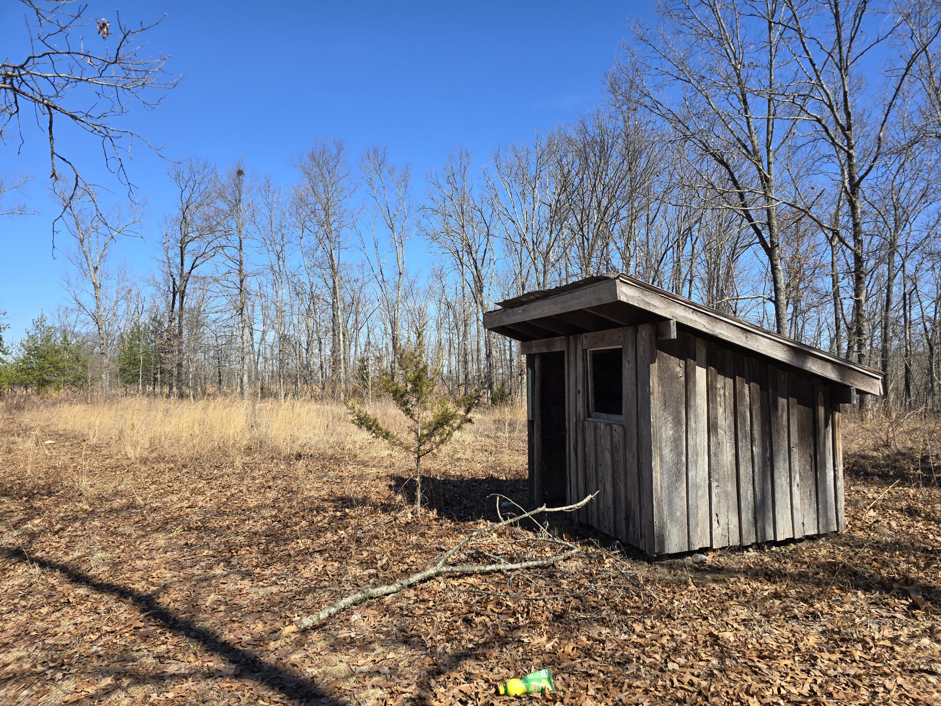 10254 State Highway C Property Photo 40