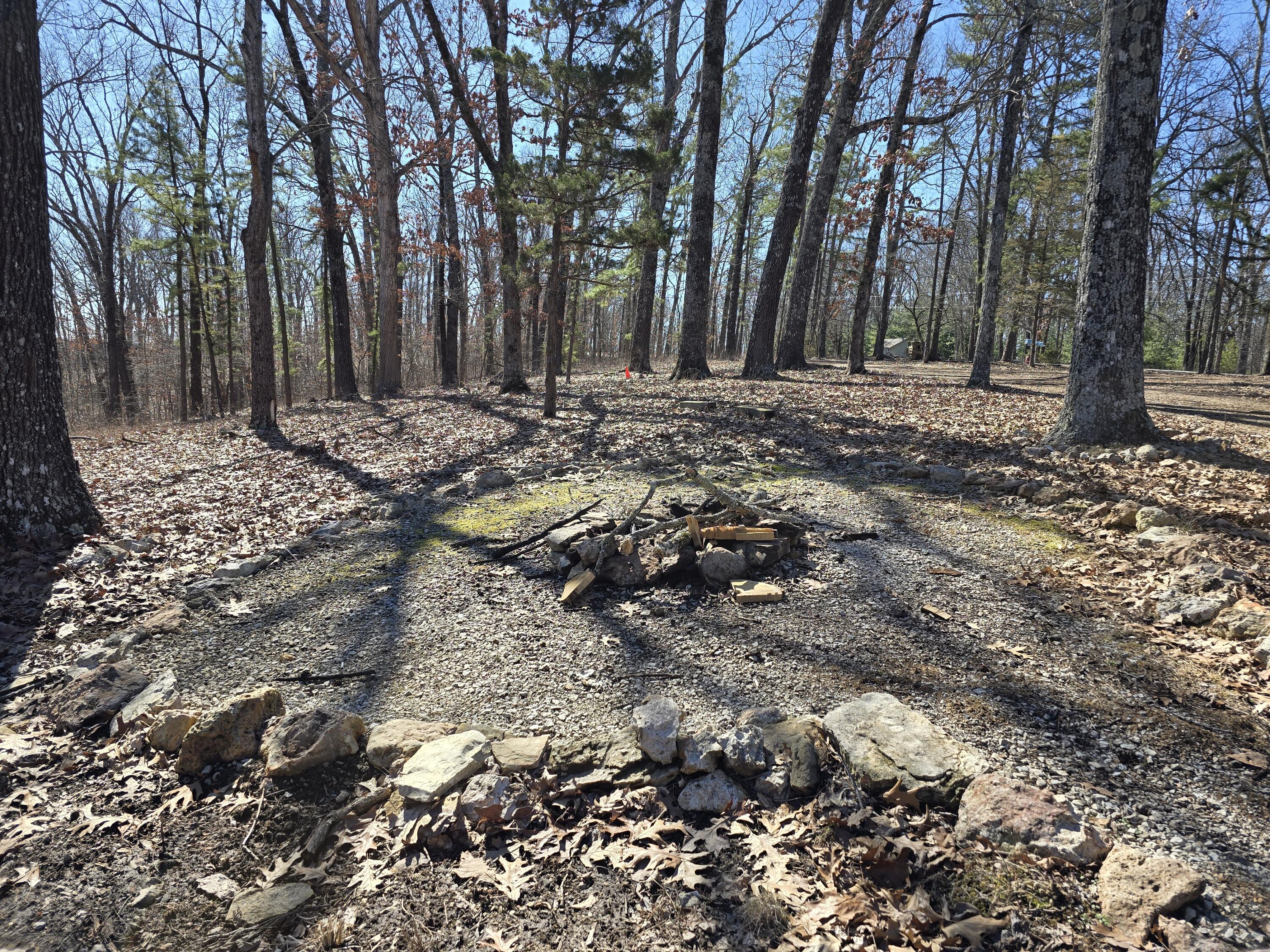 10254 State Highway C Property Photo 48