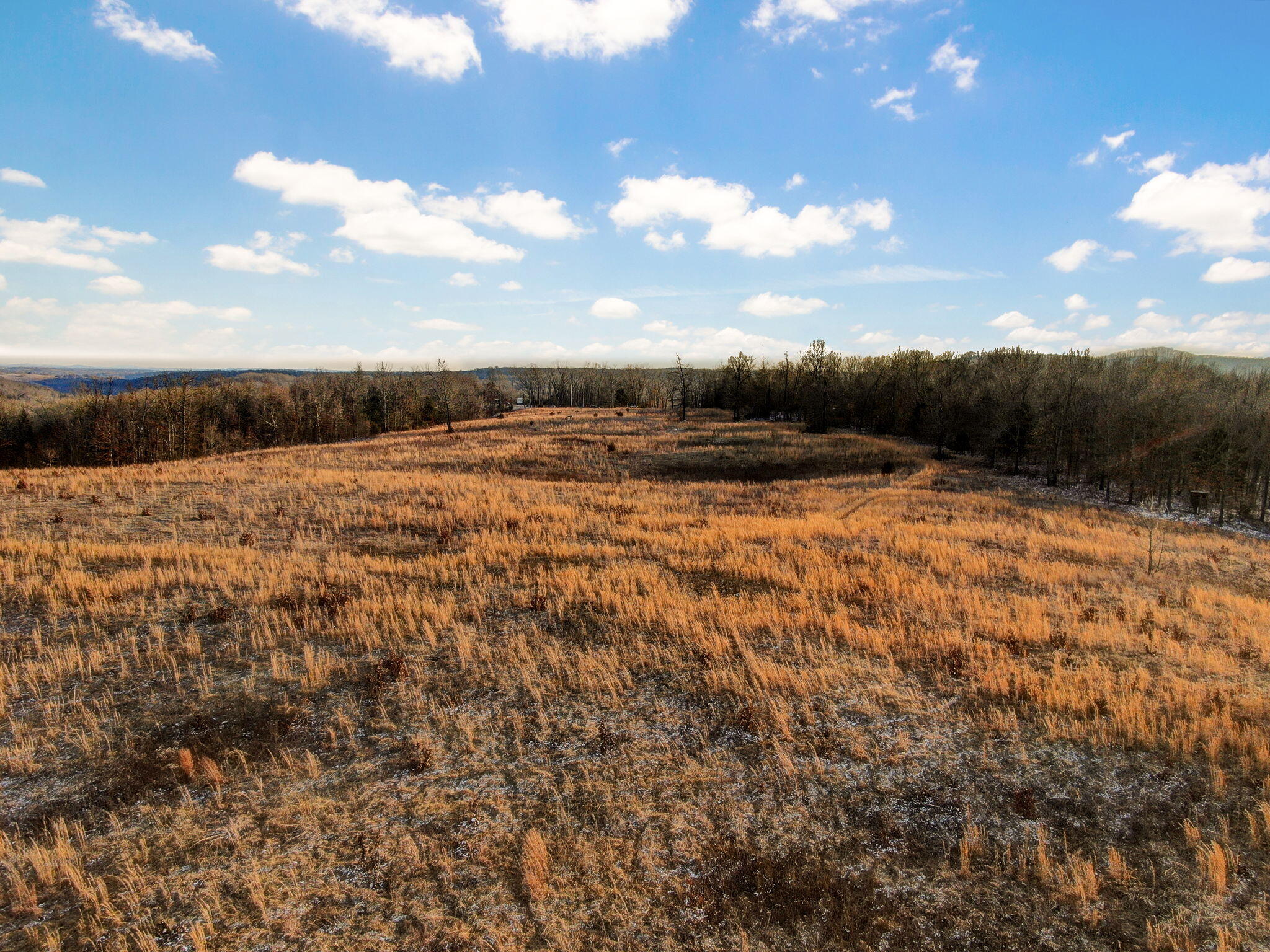 208 Cabin Road Property Photo 4