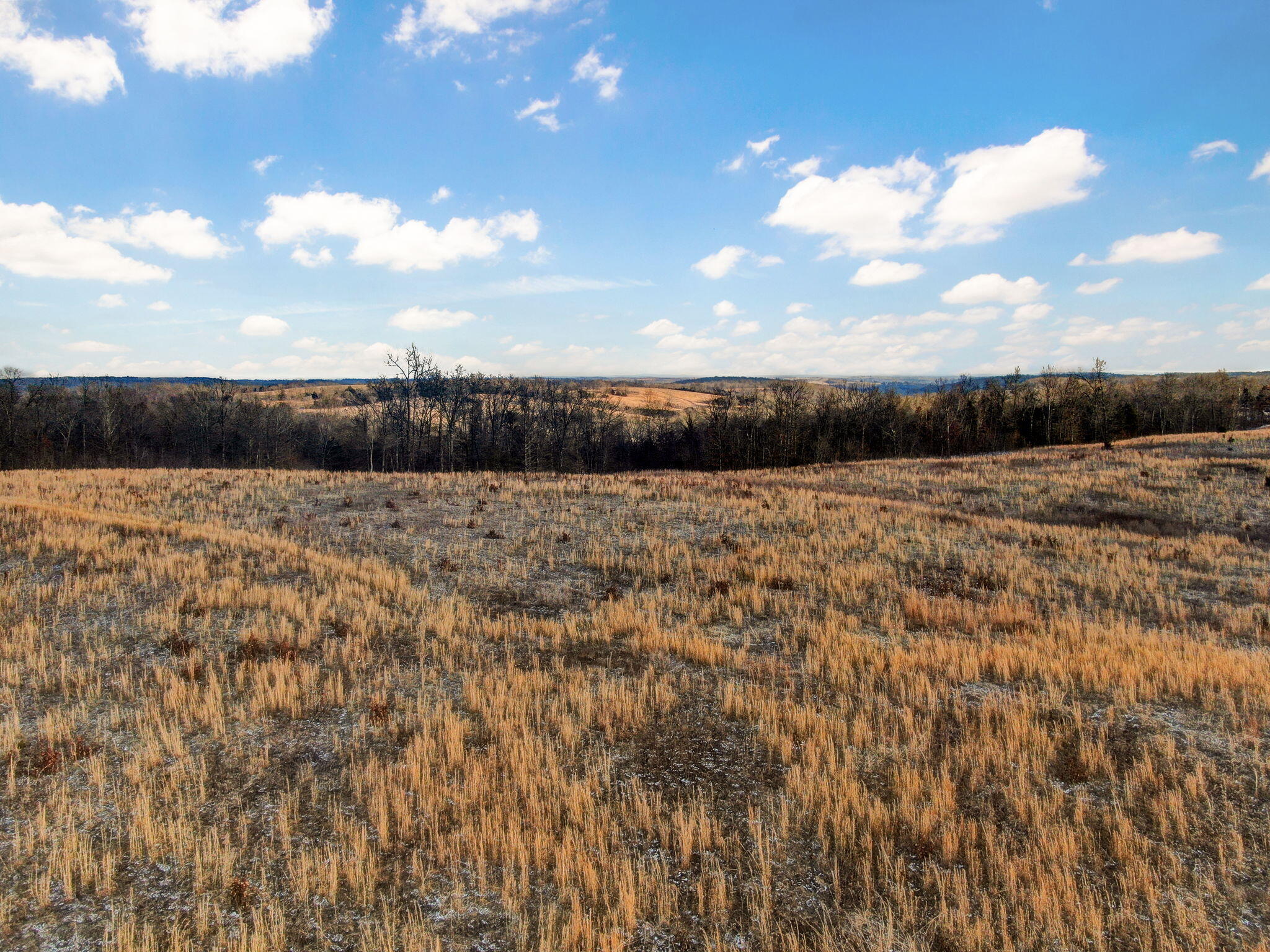 208 Cabin Road Property Photo 5