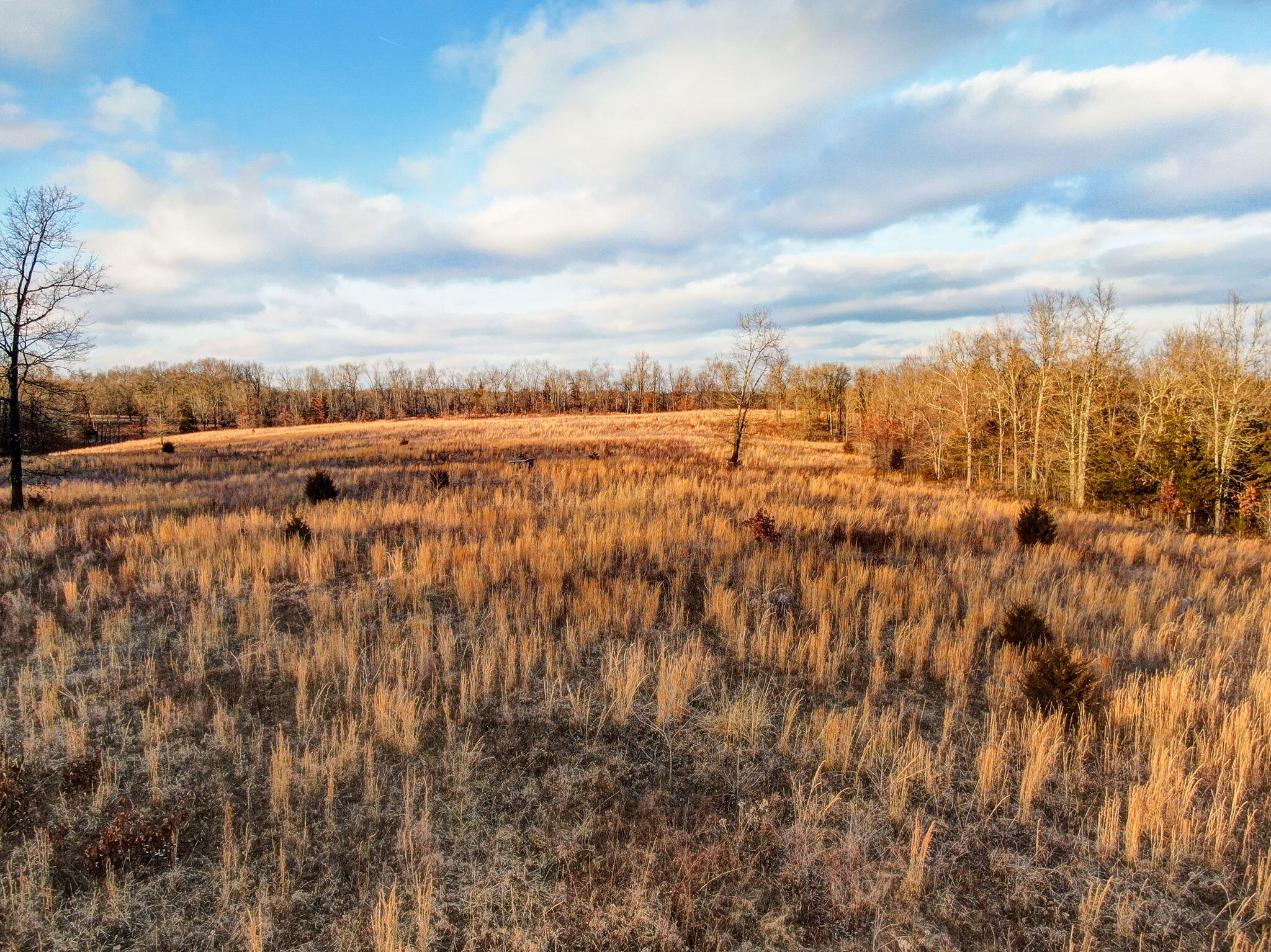208 Cabin Road Property Photo 13