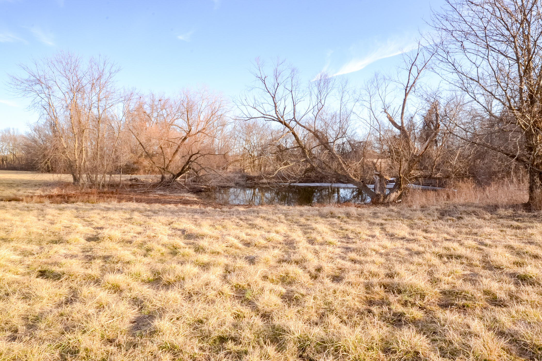 000 State Highway N Property Photo 8