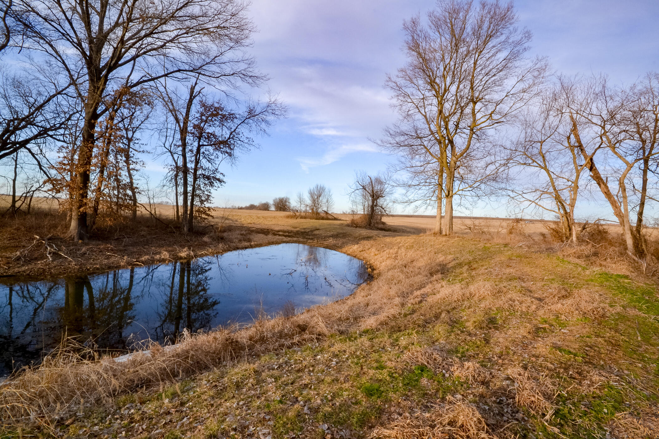 000 State Highway N Property Photo 11