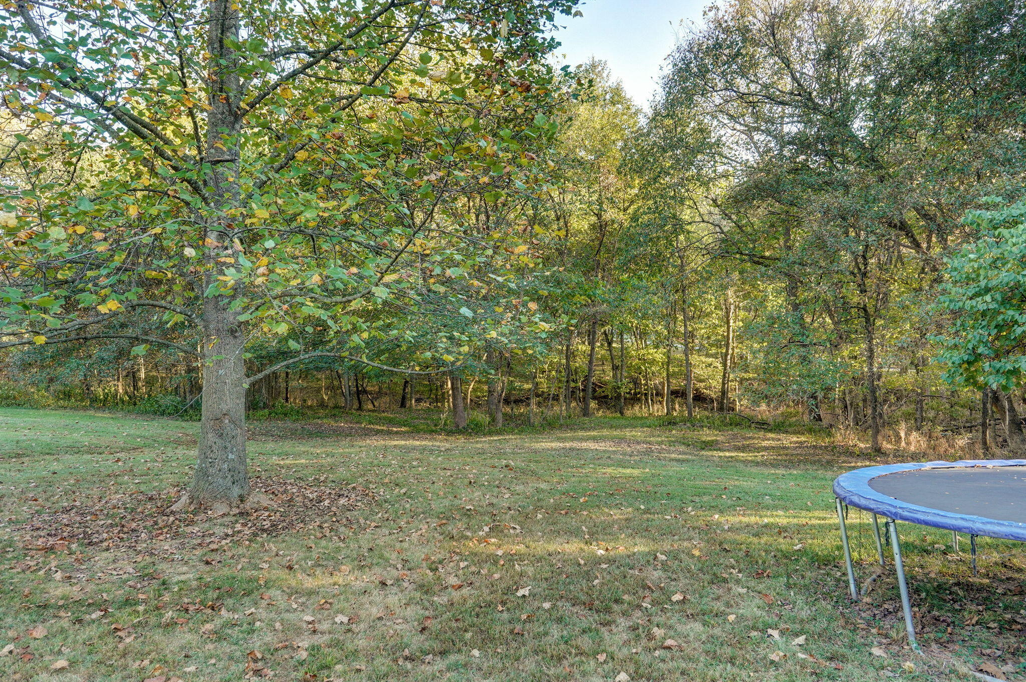 3502 North Bobolink Drive Property Photo 67