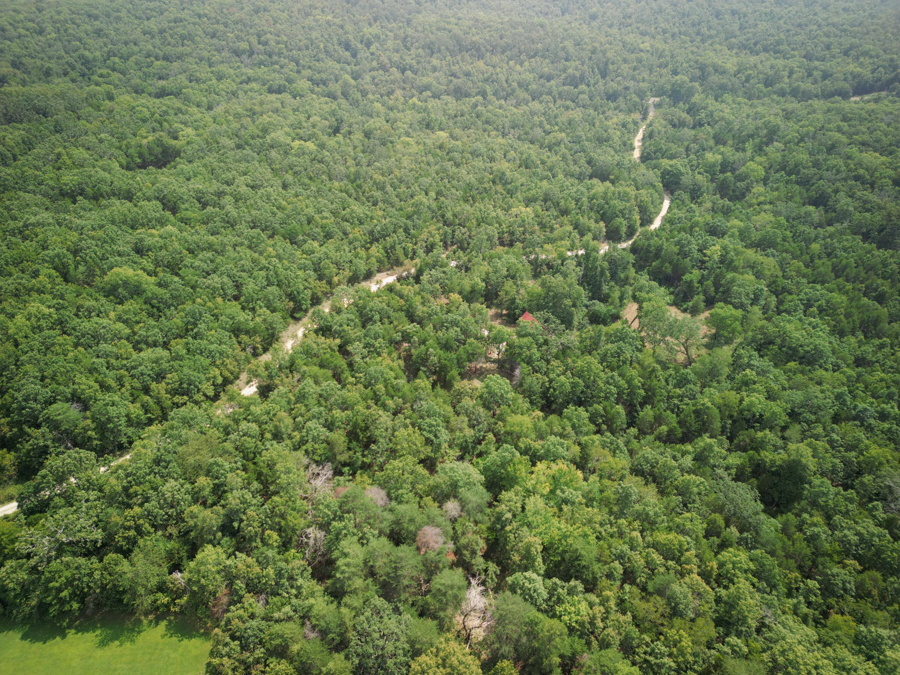 14875 Kirk Drive Property Photo 21