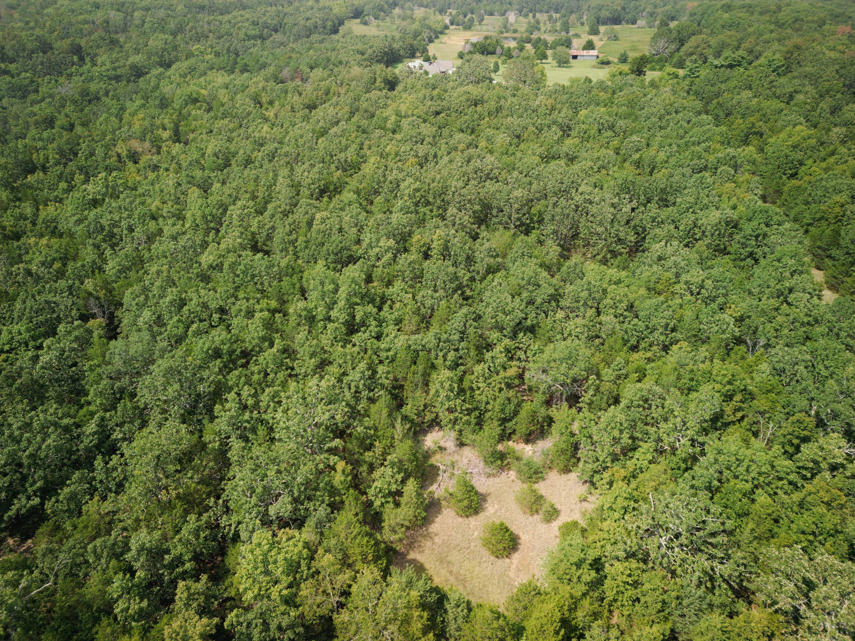 14875 Kirk Drive Property Photo 23