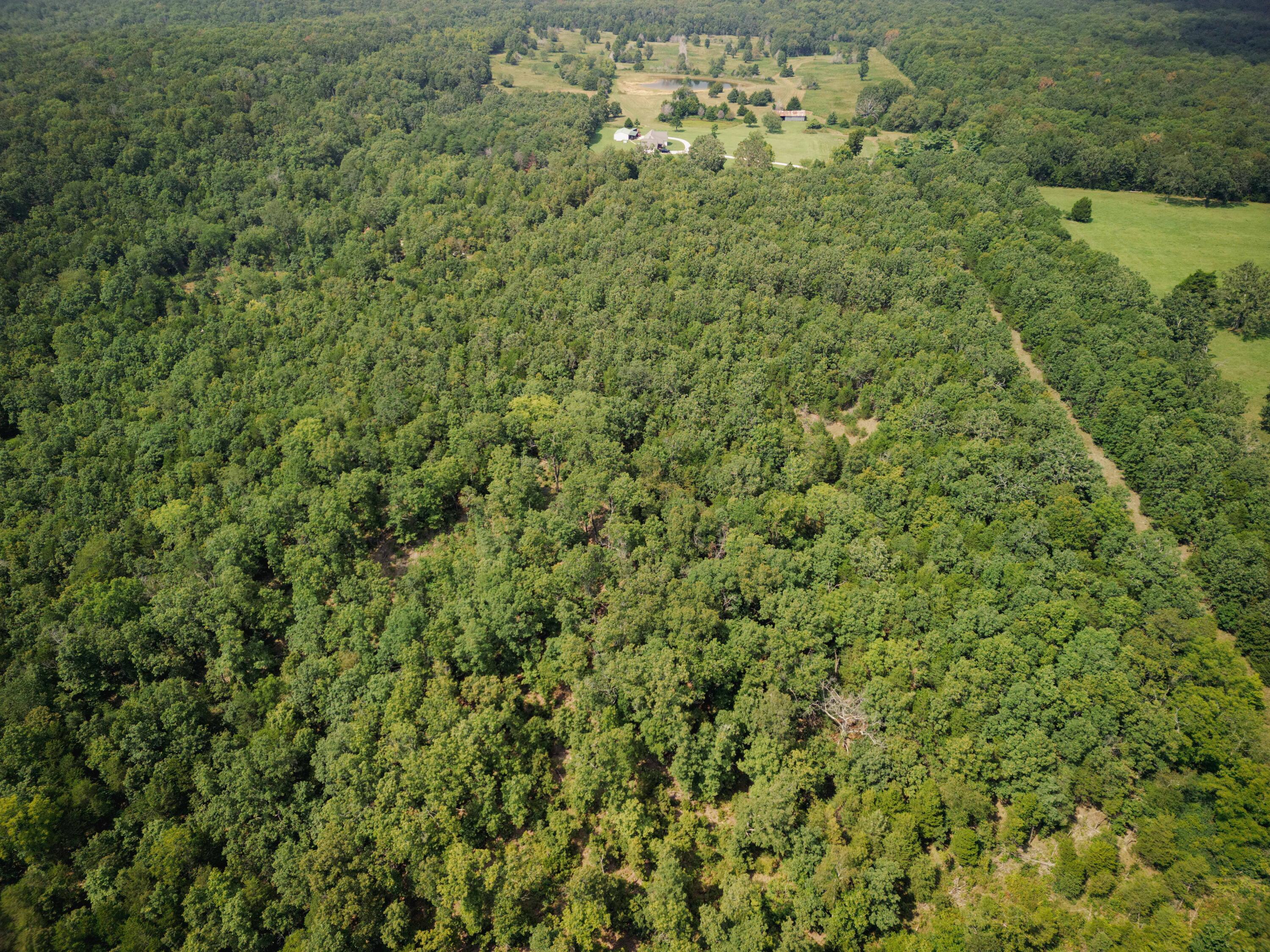 14875 Kirk Drive Property Photo 29