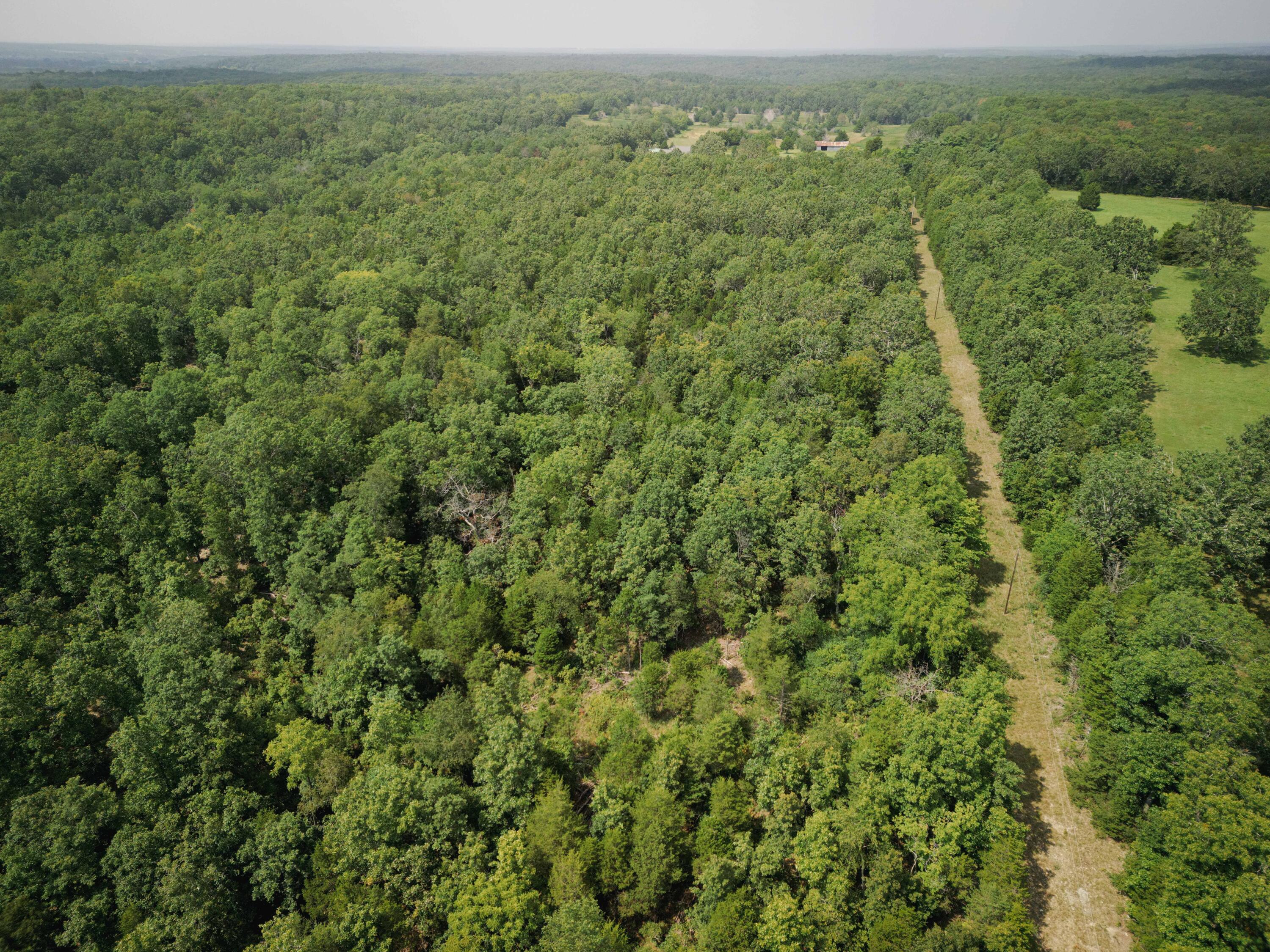 14875 Kirk Drive Property Photo 30