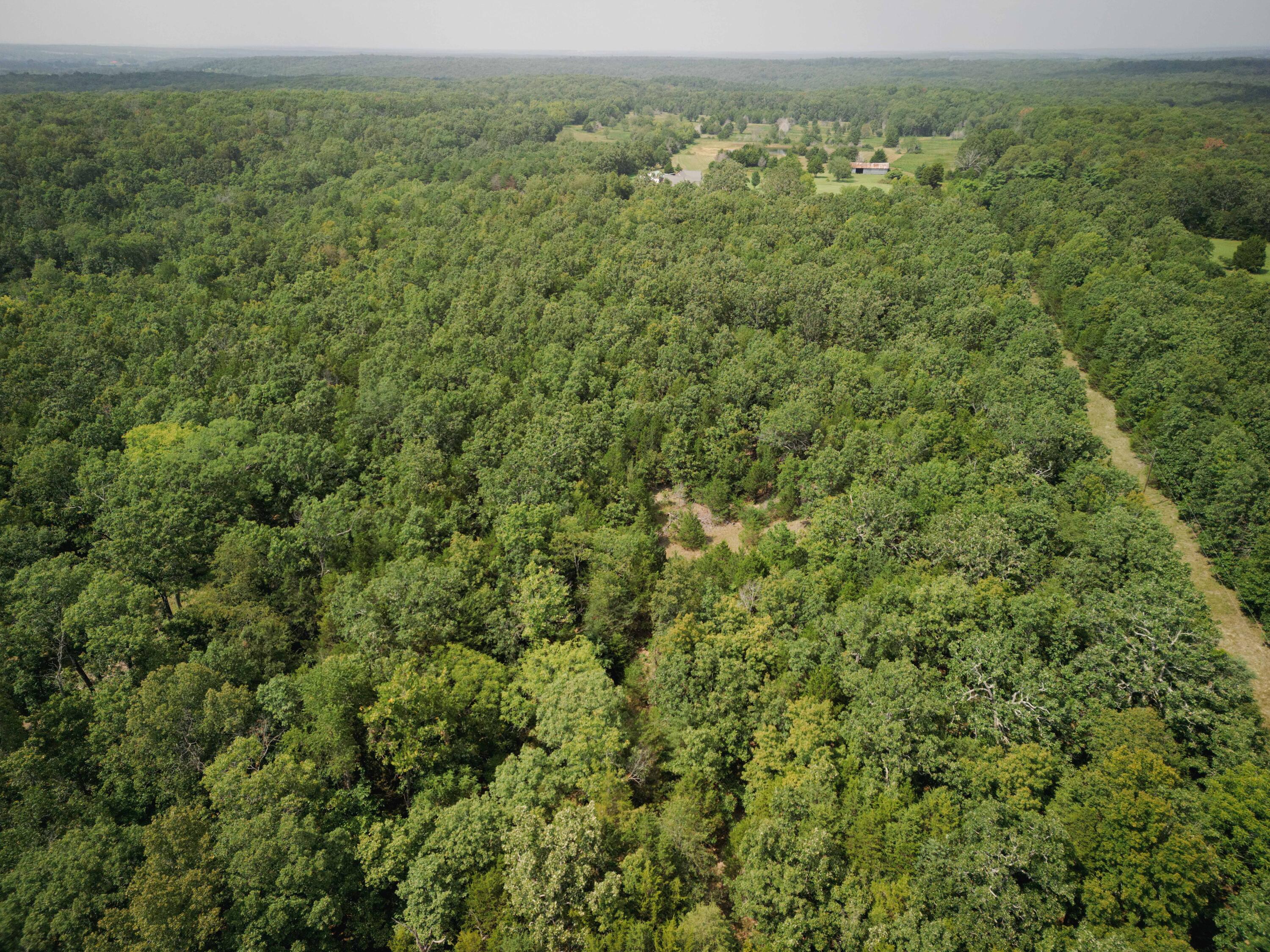 14875 Kirk Drive Property Photo 31