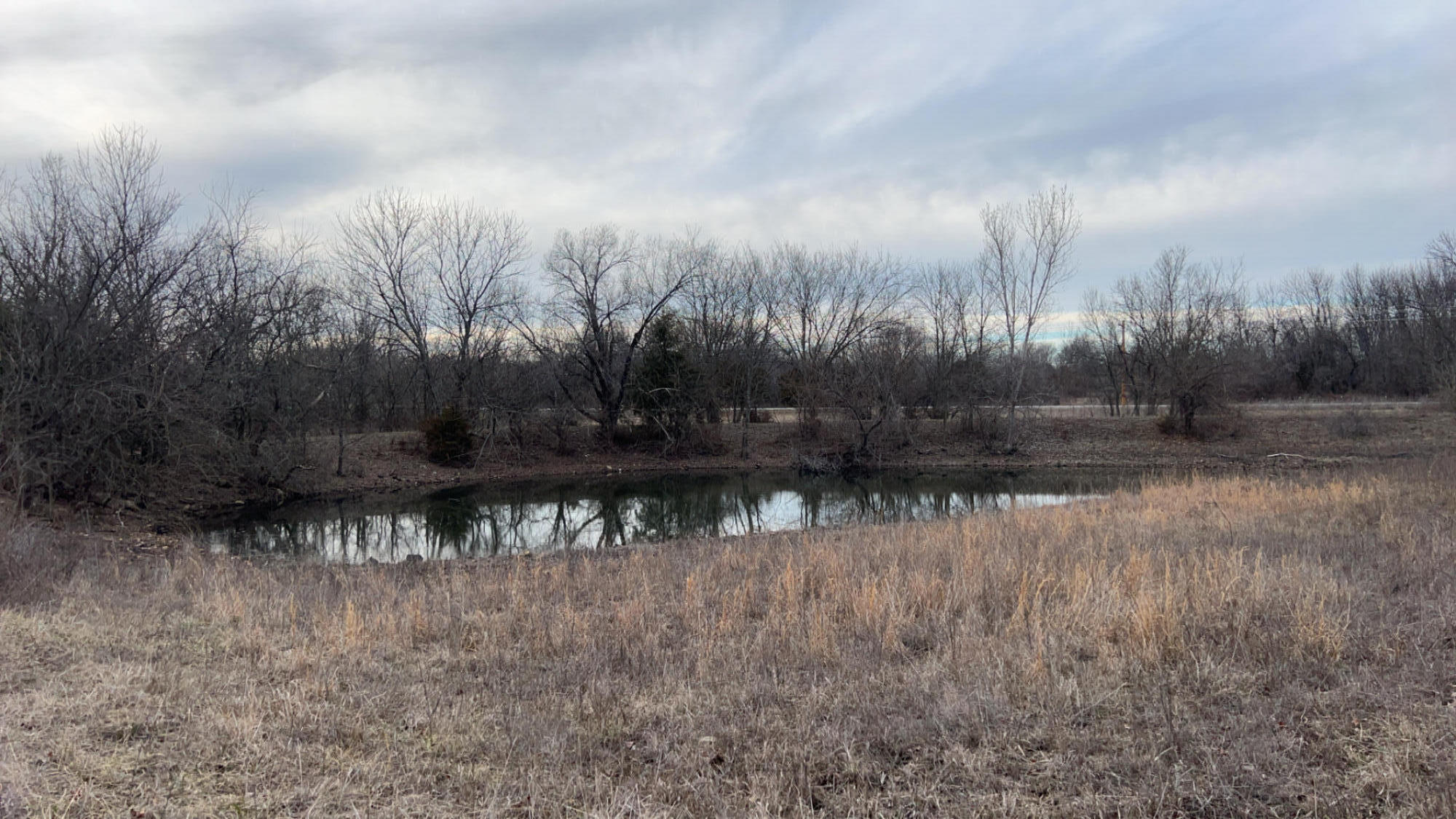 11174 Placid Road Property Photo 31