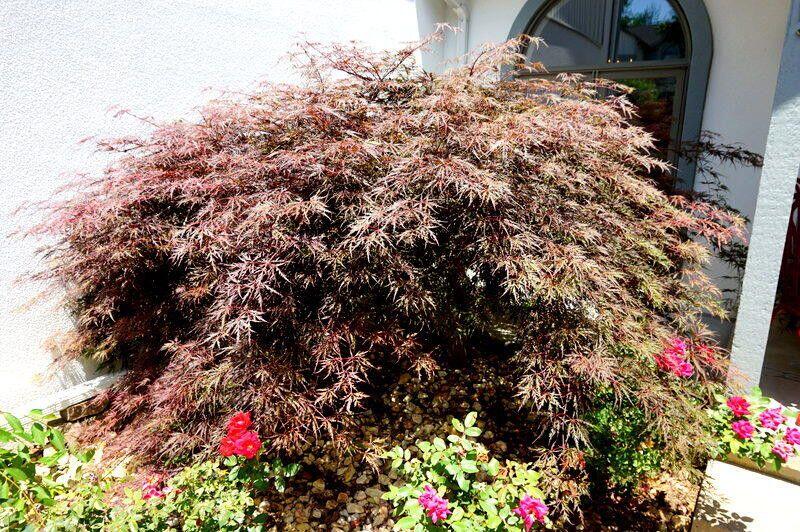 185 Eagle Pointe Drive Property Photo 5