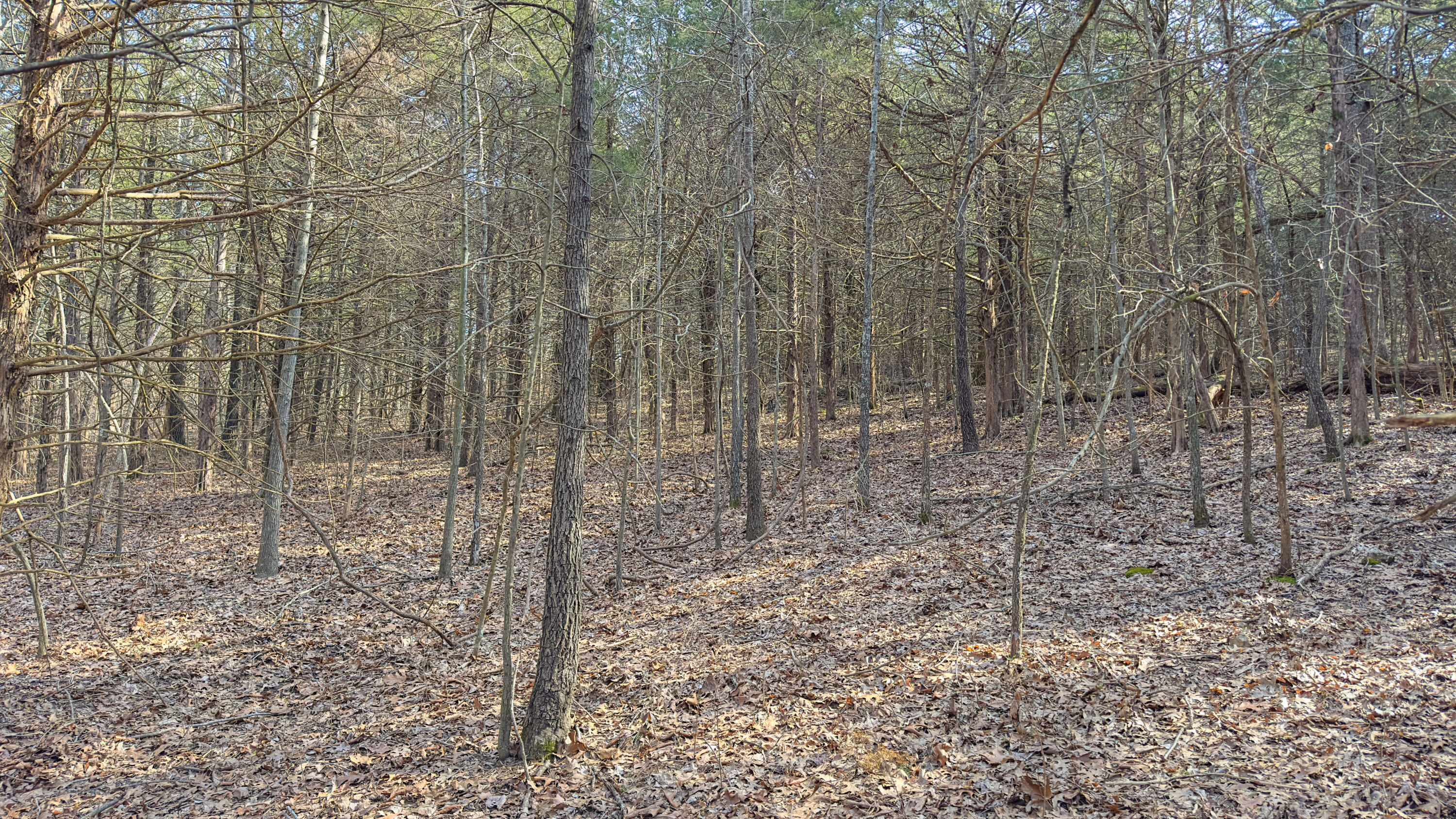 000 County Road 400-a Property Photo 10