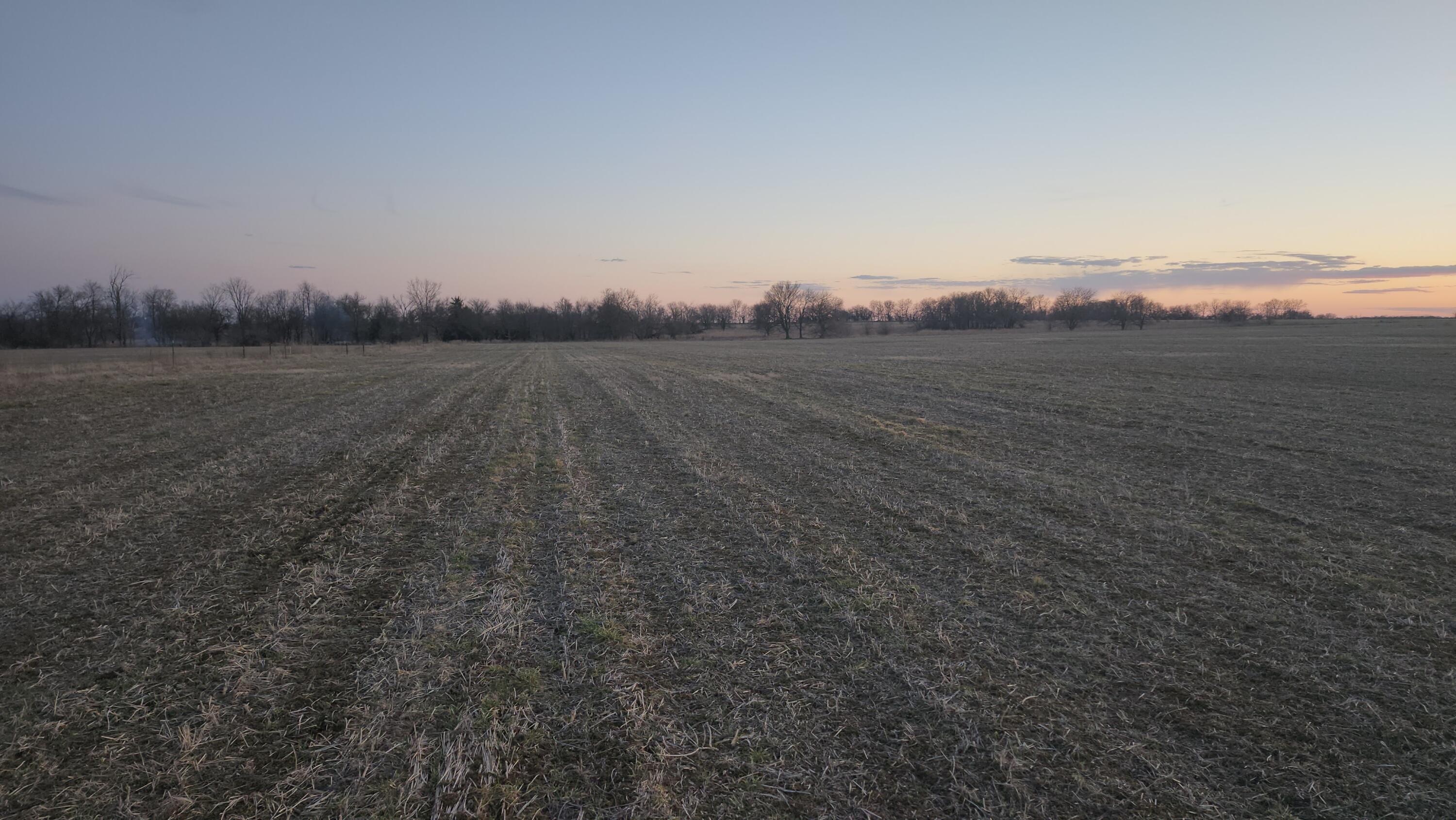 10770 East Hwy Y Property Photo 5